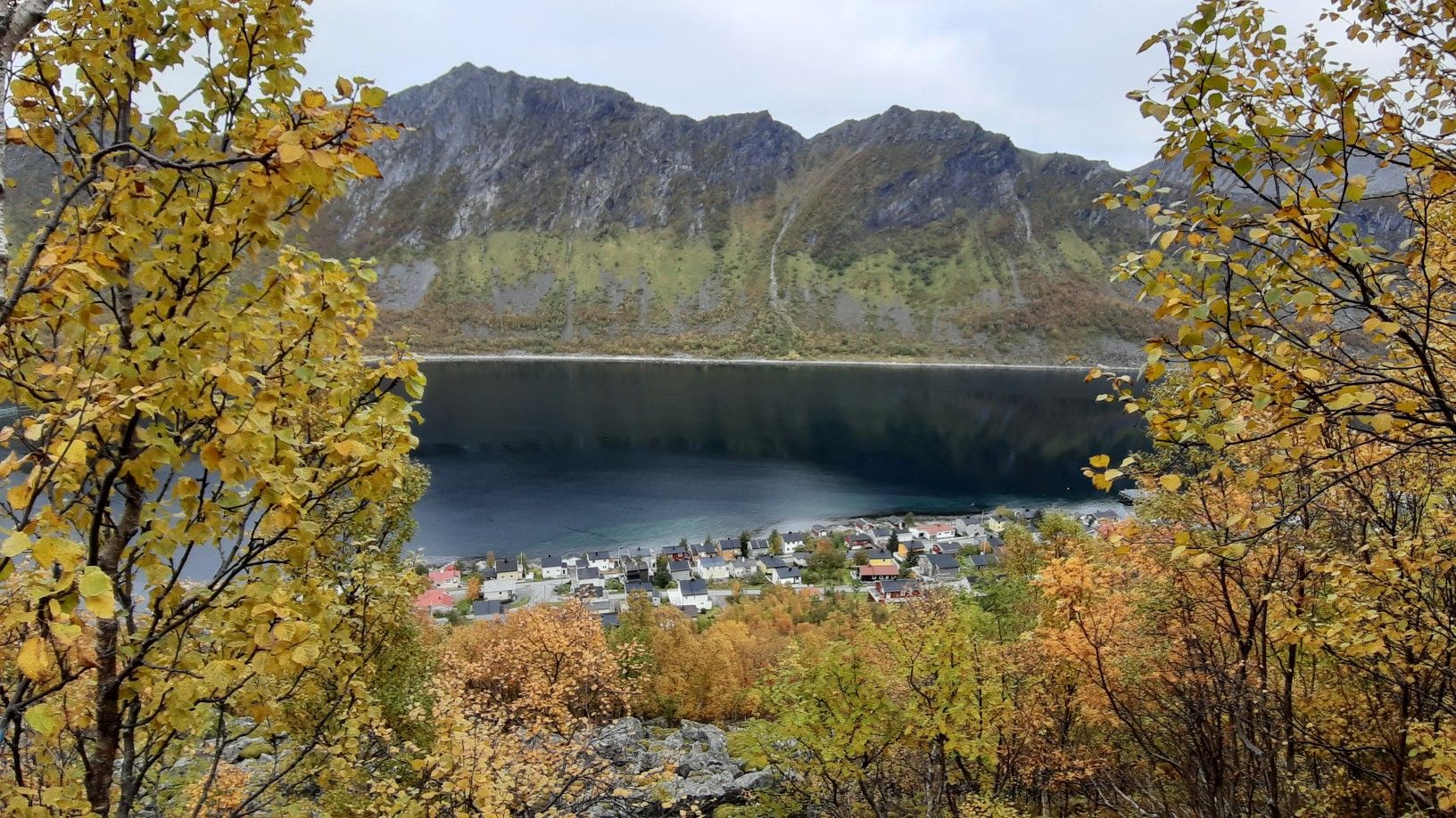 Gryllefjord