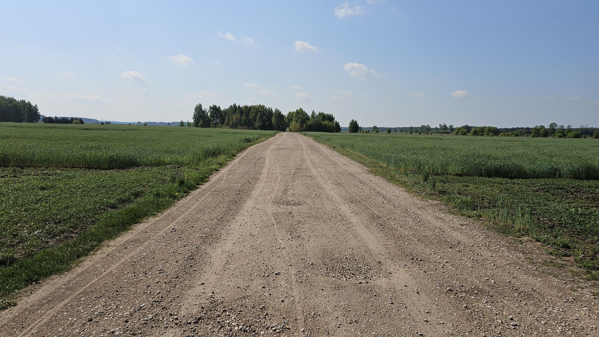 Trail view