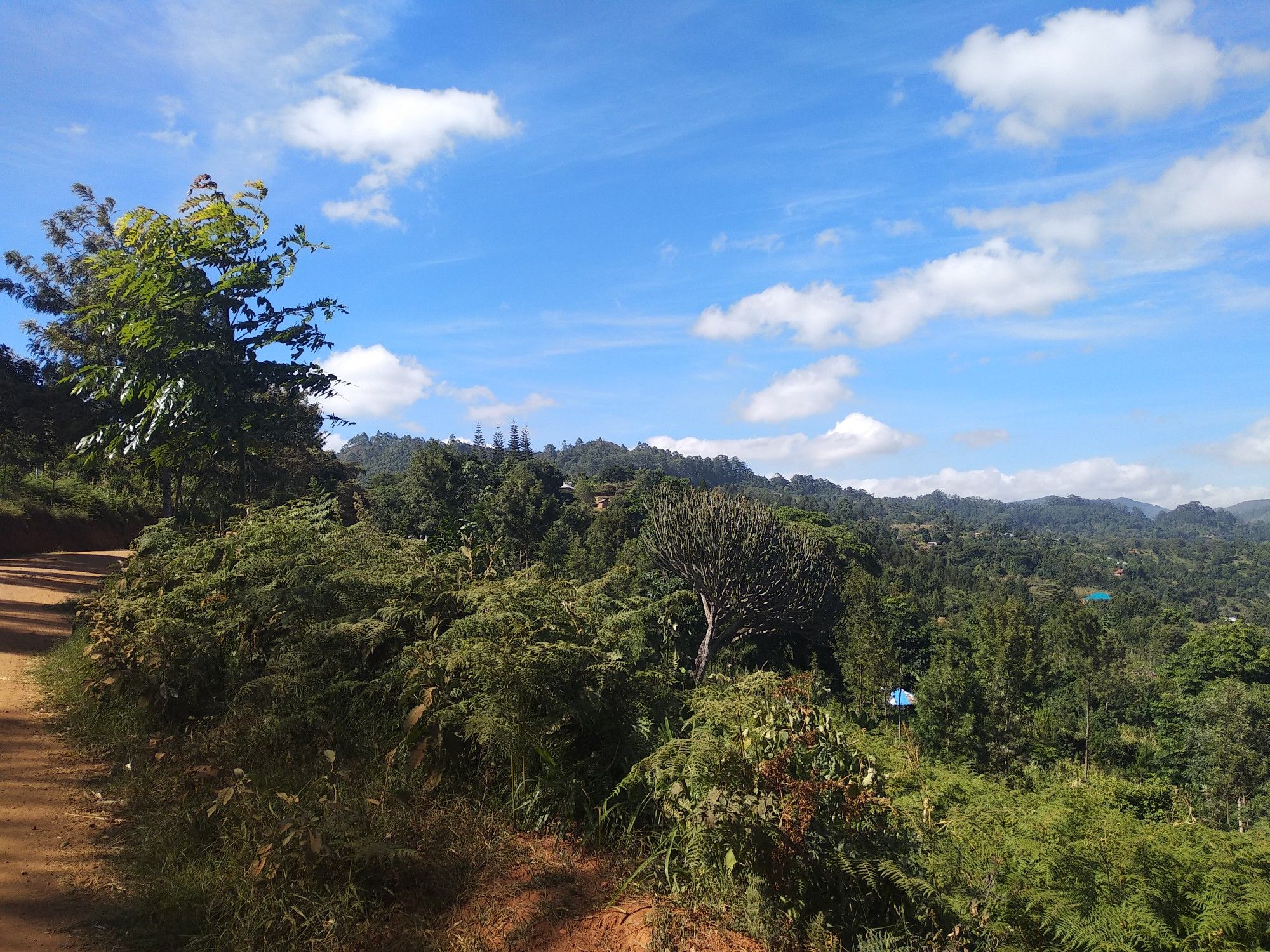 viewpoint in der Ferne