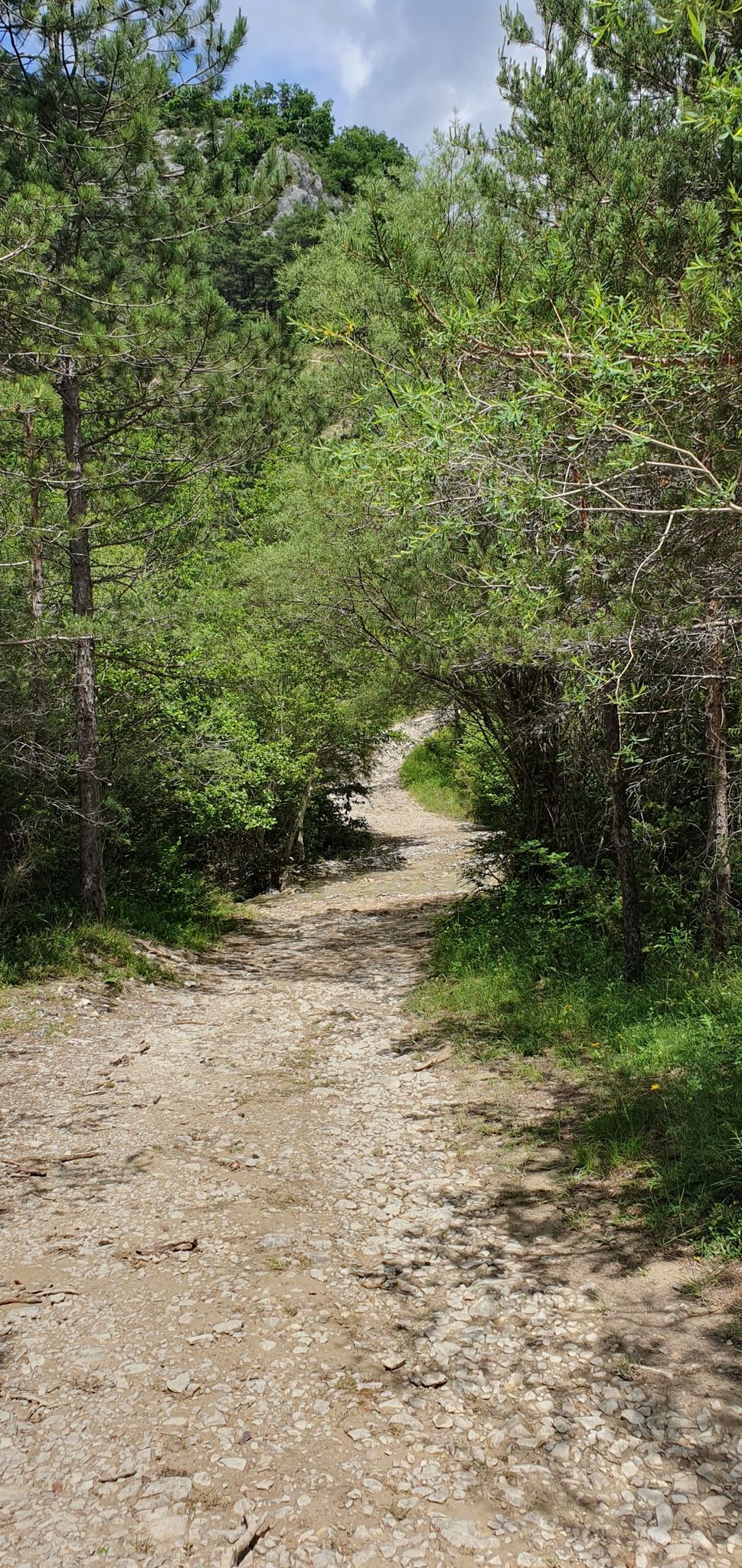 Bachdurchfahrt