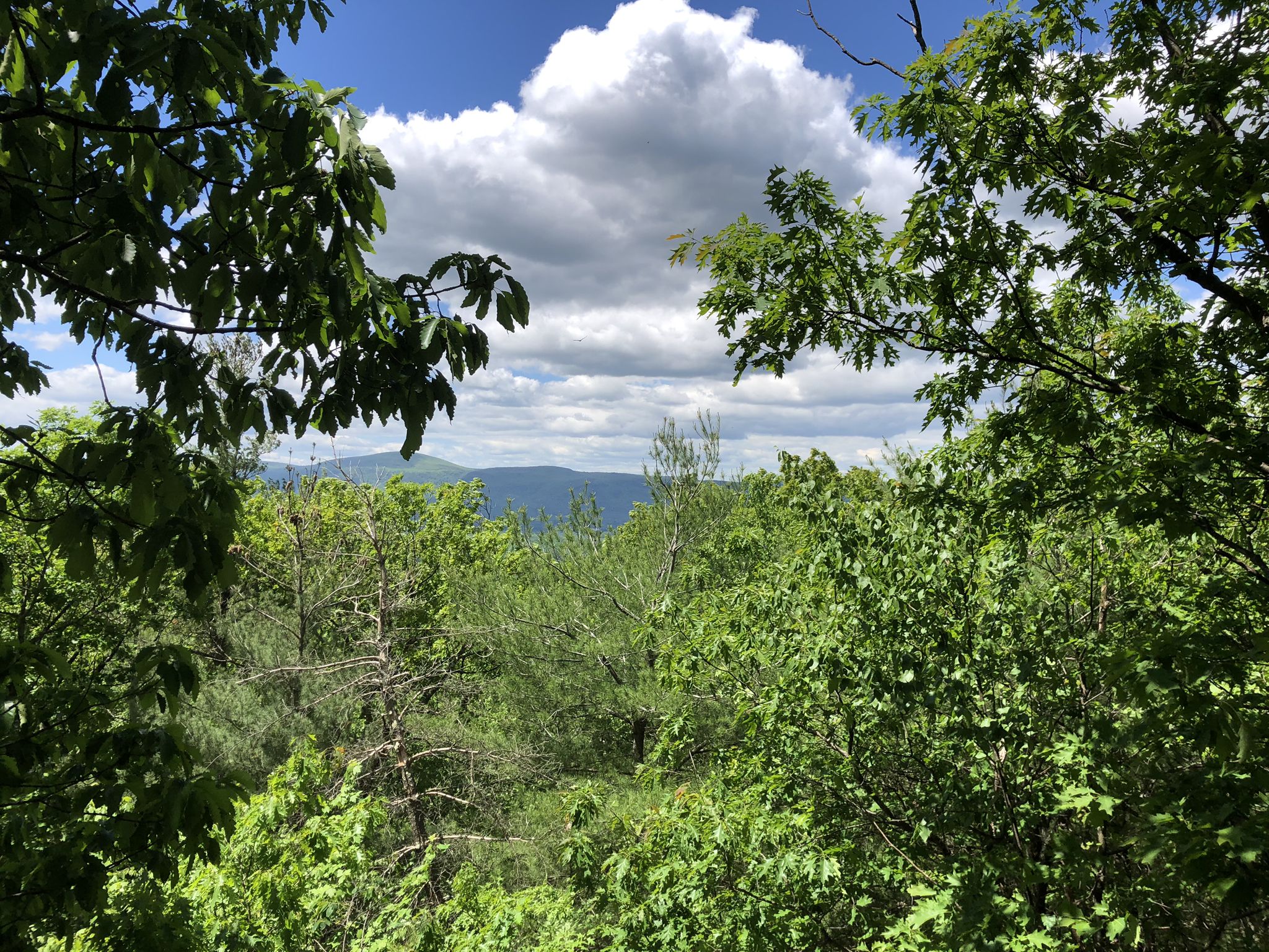 Lush green forest canopy frames distant mountains under a bright, cloudy sky. - East Mountain via Appalachian Trail