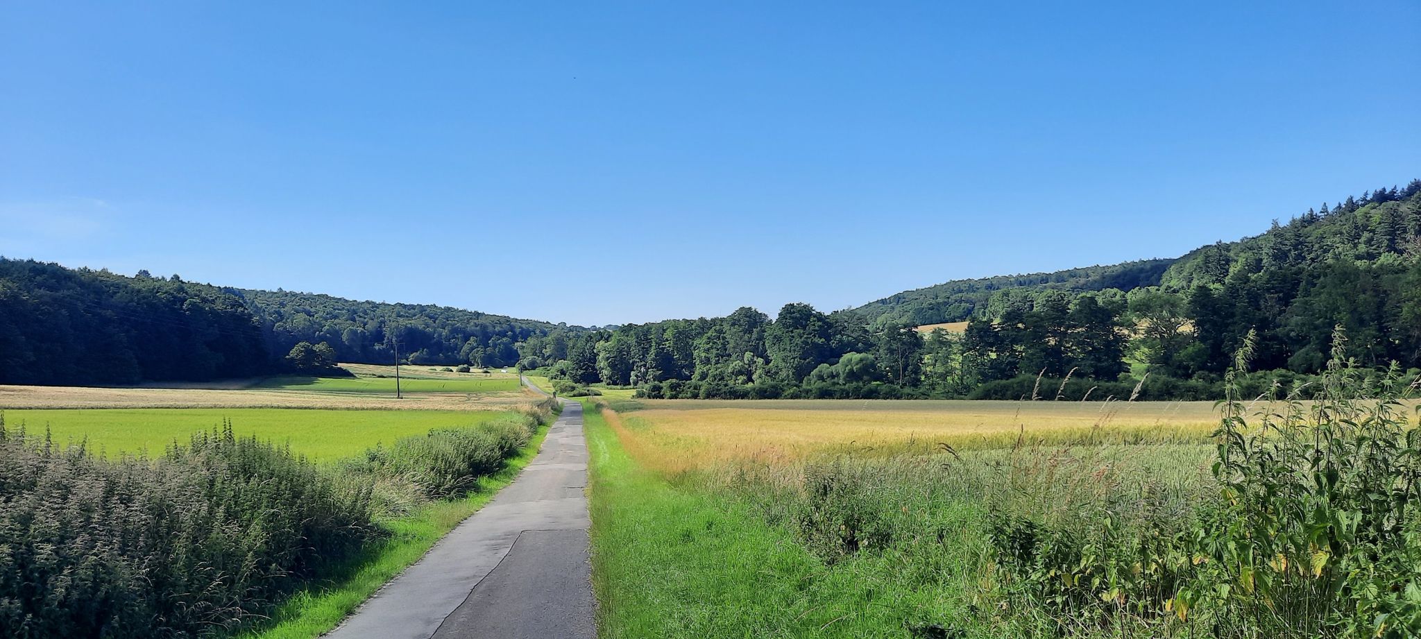 Schwalm Radweg bei Hopfengarten