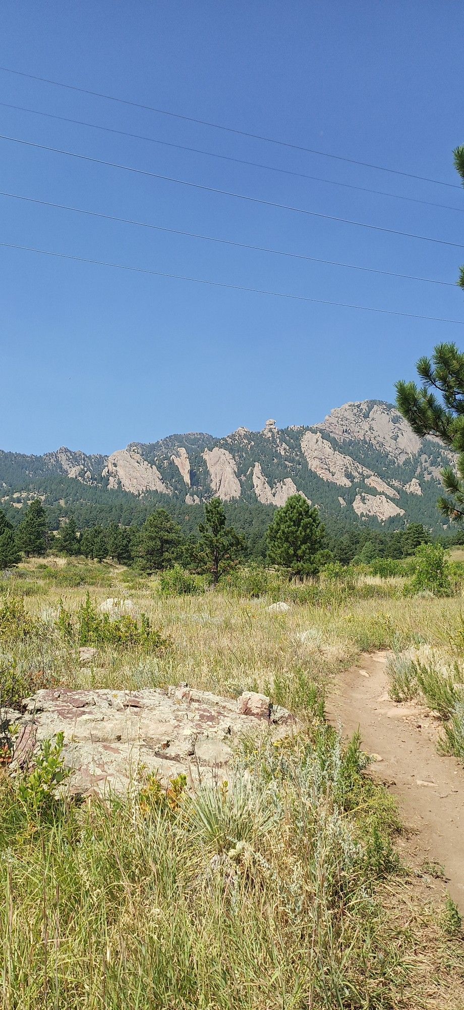 A dirt path through a sunny green field, with rocky mountains and pine trees. - South Boulder Creek West and Lower Big Bluestem Loop