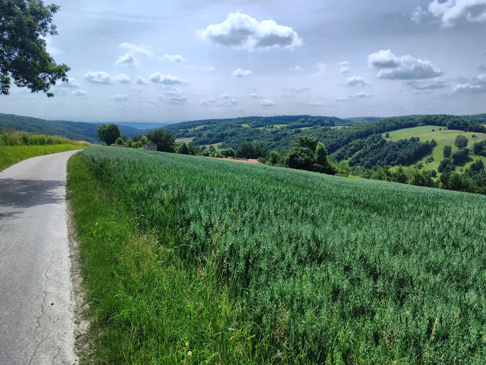 Widok na szlaku Dolina Będkowska