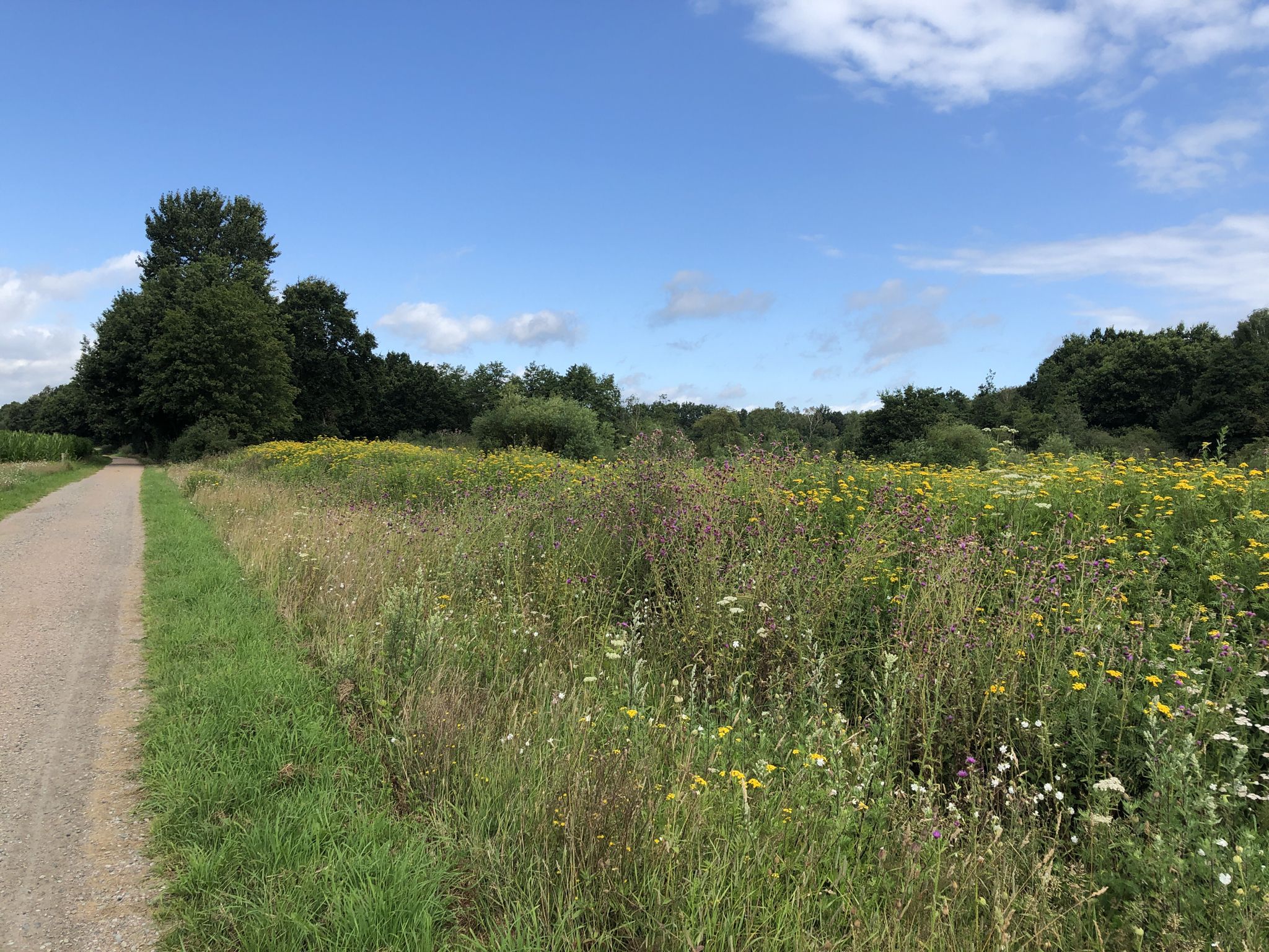 Hunteradweg zwischen Wildeshausen und Dötlingen