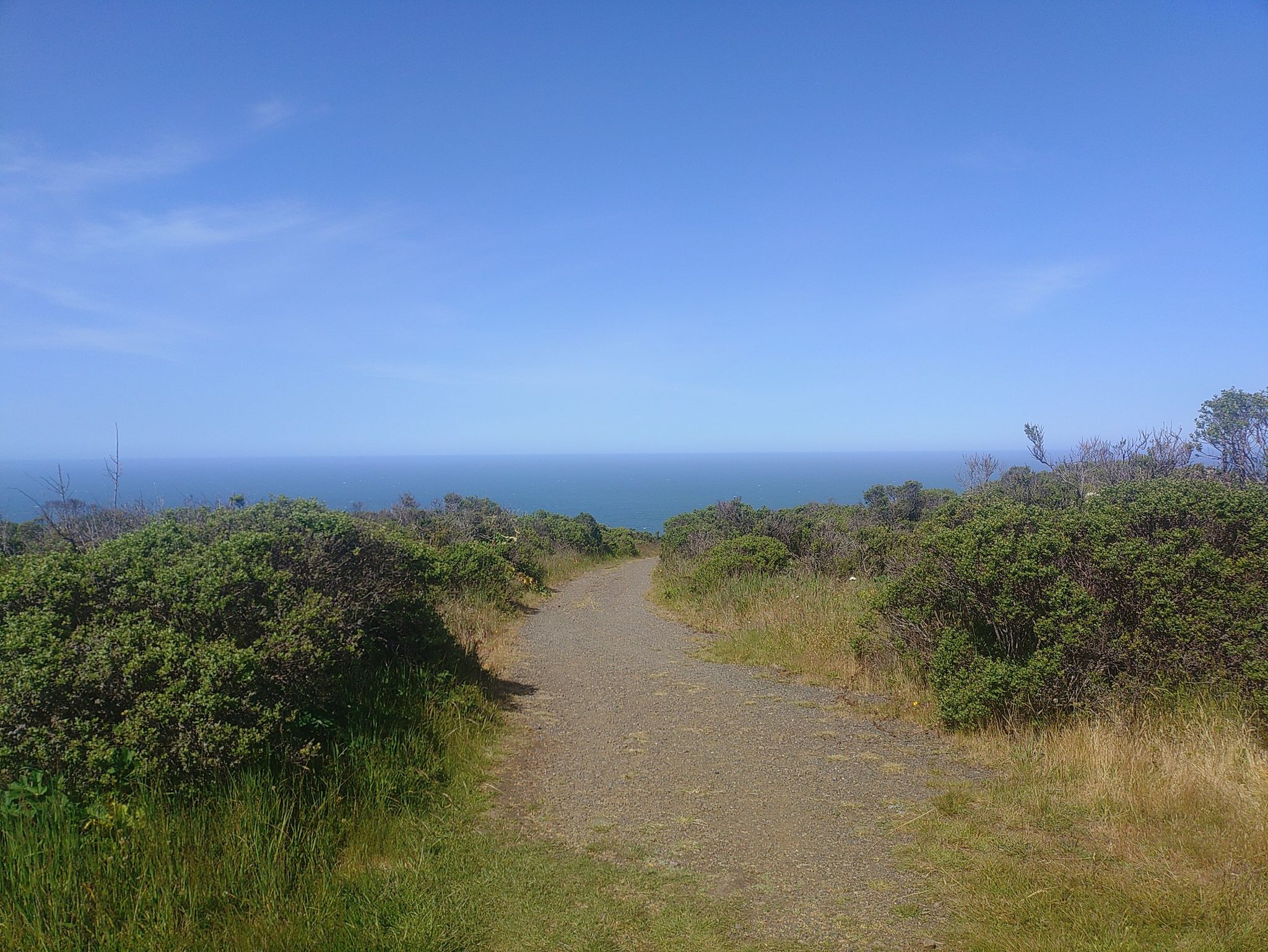 A dirt path leads through coastal shrubs towards a vast blue ocean. - Pomo Canyon and Red Hill Loop Trail
