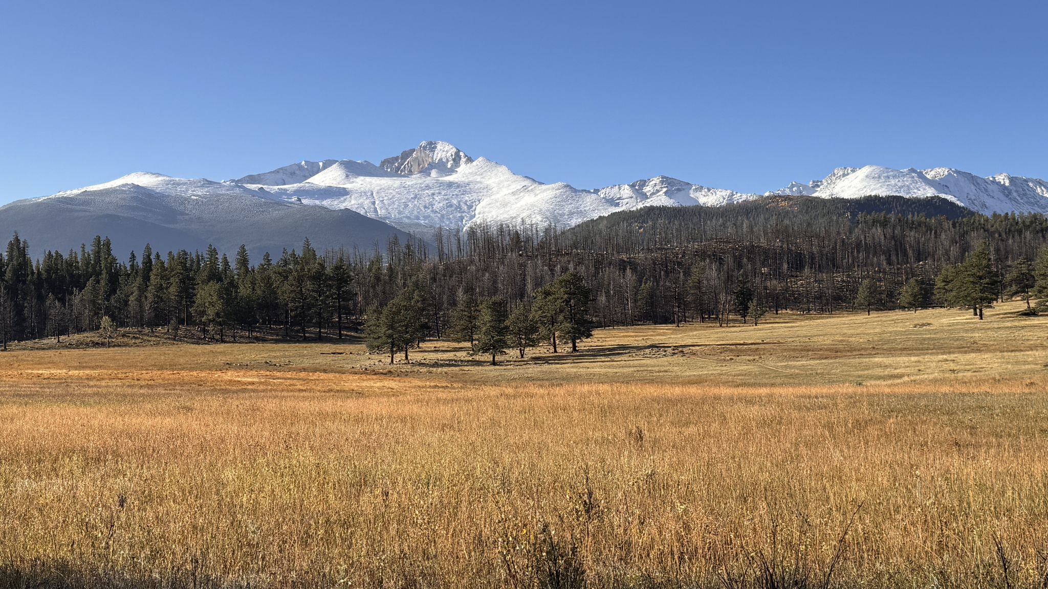 Sunny view of golden fields, green trees, and distant snow-capped mountains. - Upper Beaver Meadow Loop