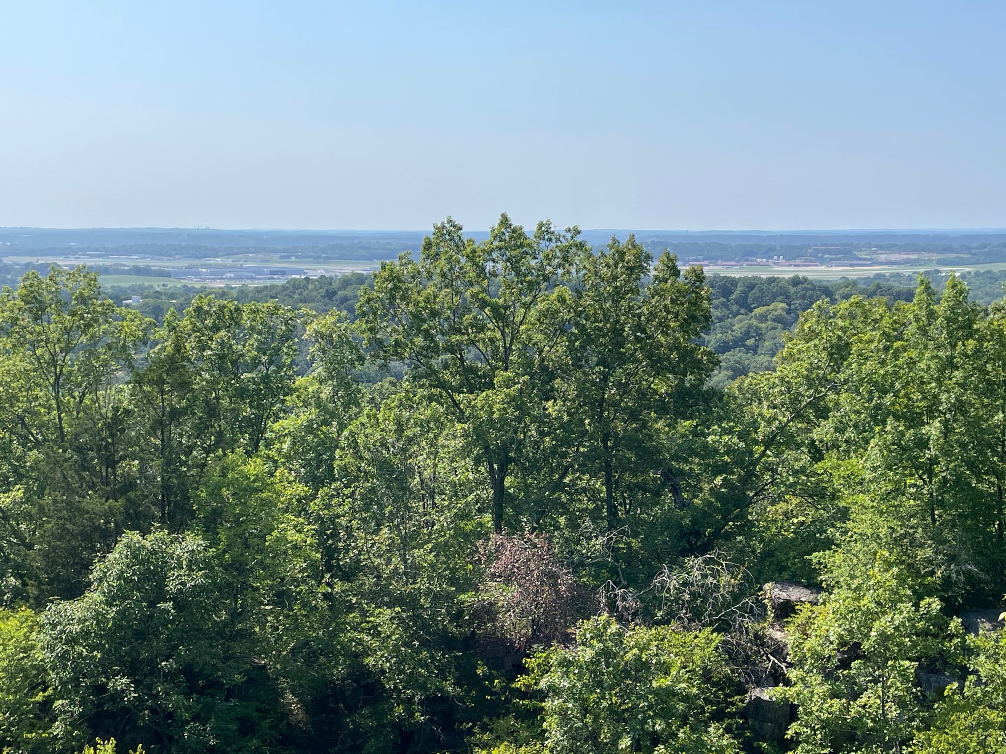 High-angle view of a dense green forest stretching to the horizon under clear sky. - Overlook Trail via Quarry Trail