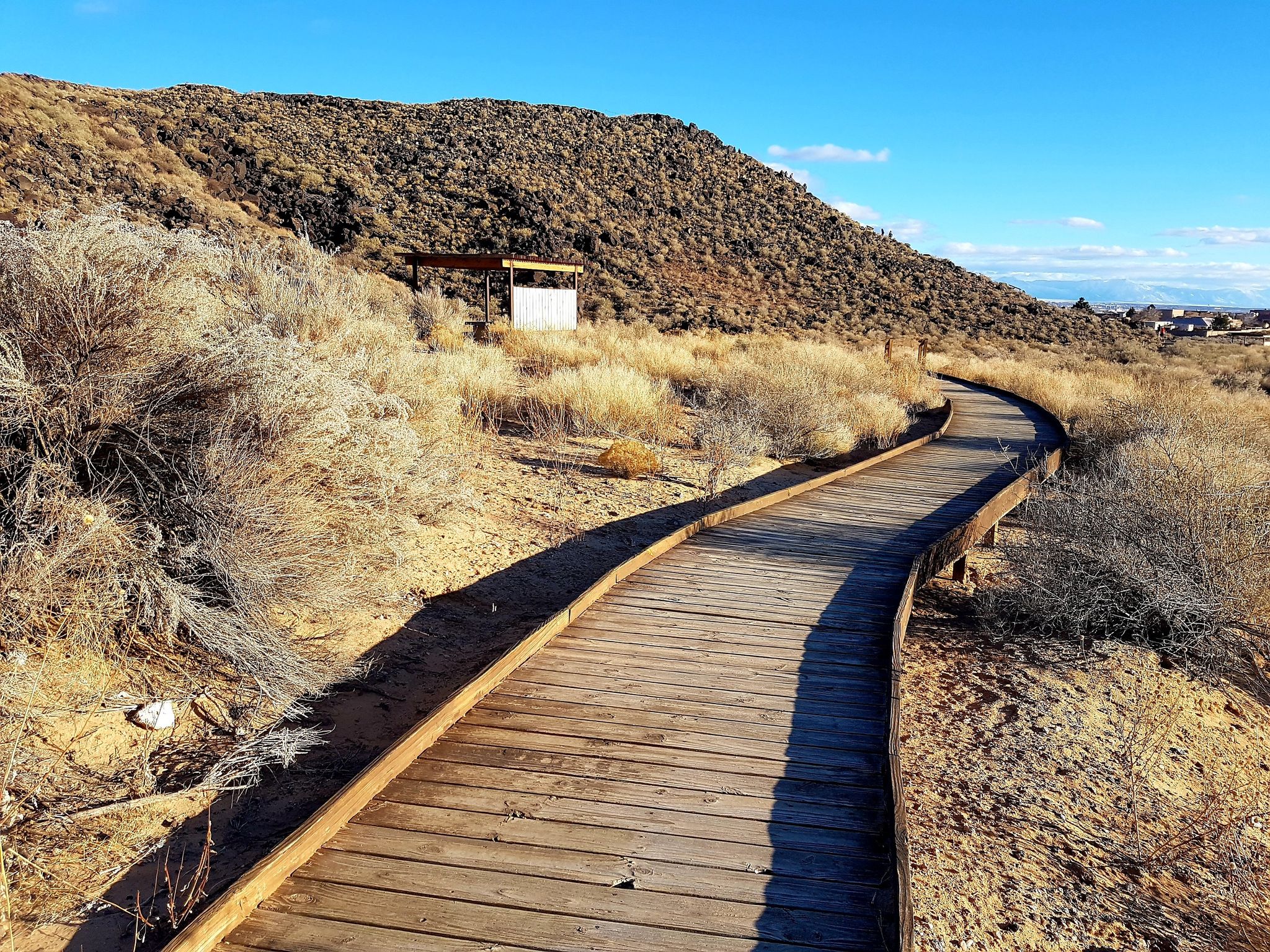 A winding wooden boardwalk path through dry desert brush under blue sky. - Mesa Point Trail