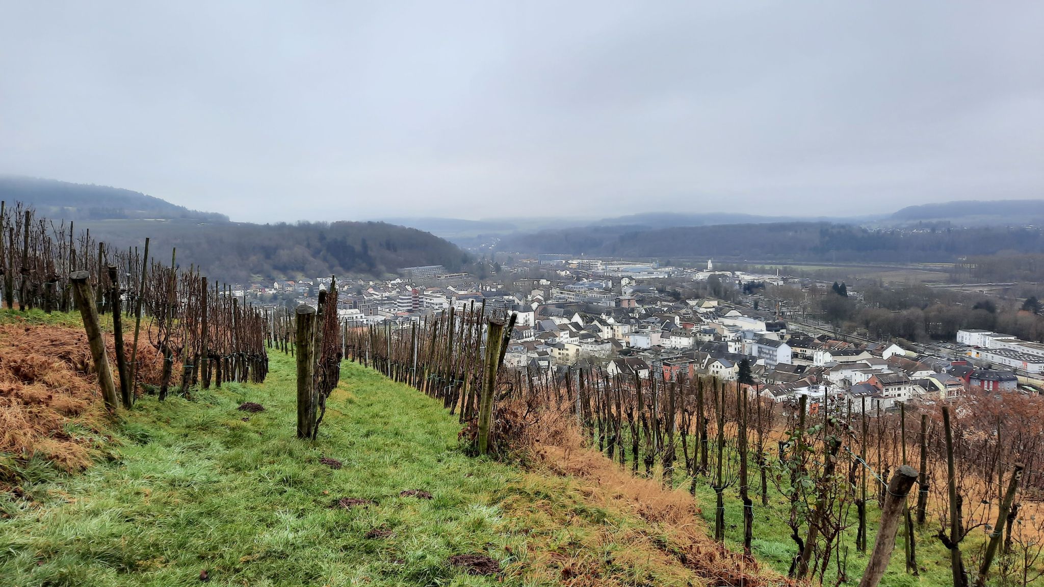 Weinberg bei der Kreuzbergkapelle