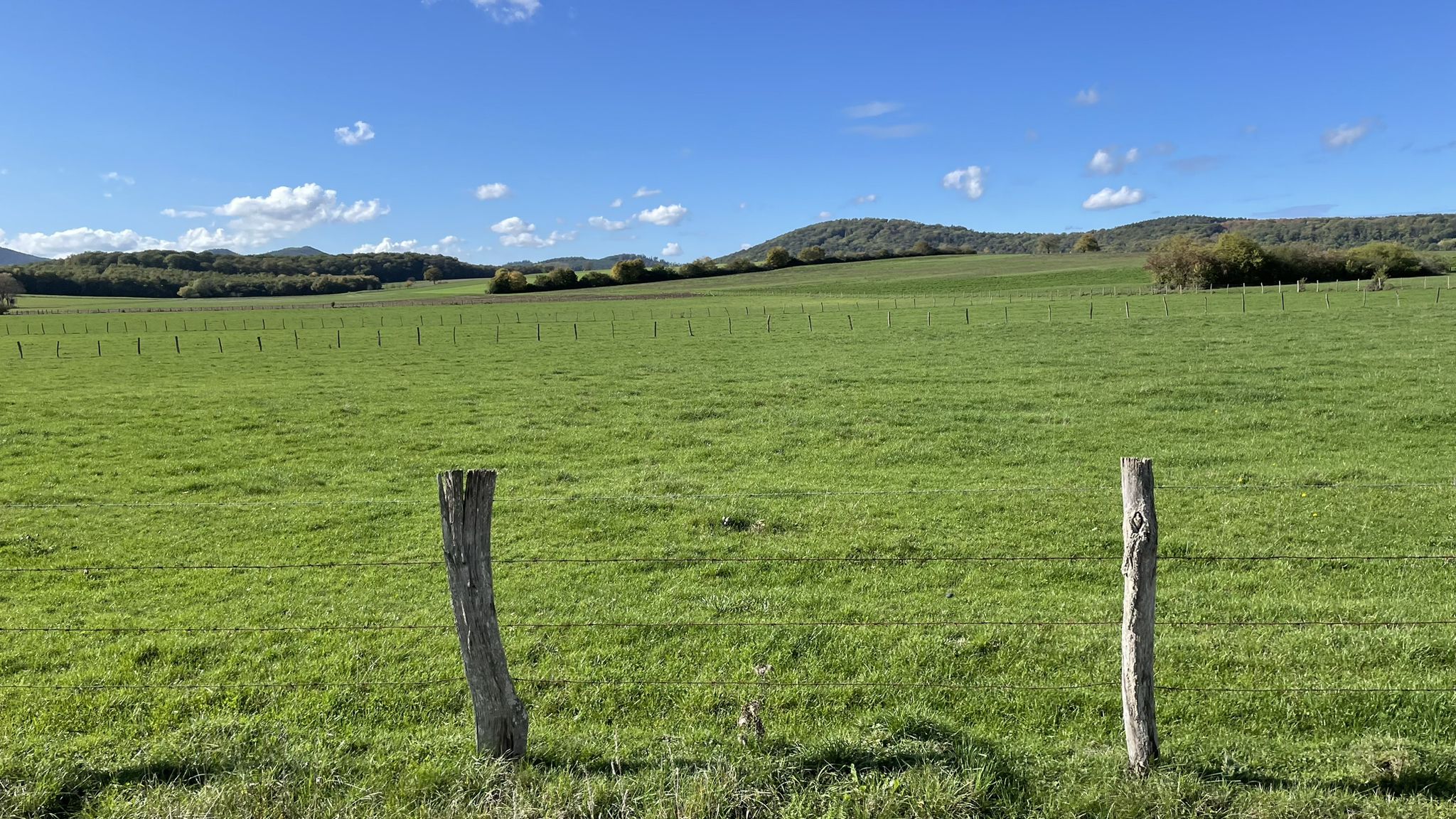 Entre Weinbourg et Obersoultzbach