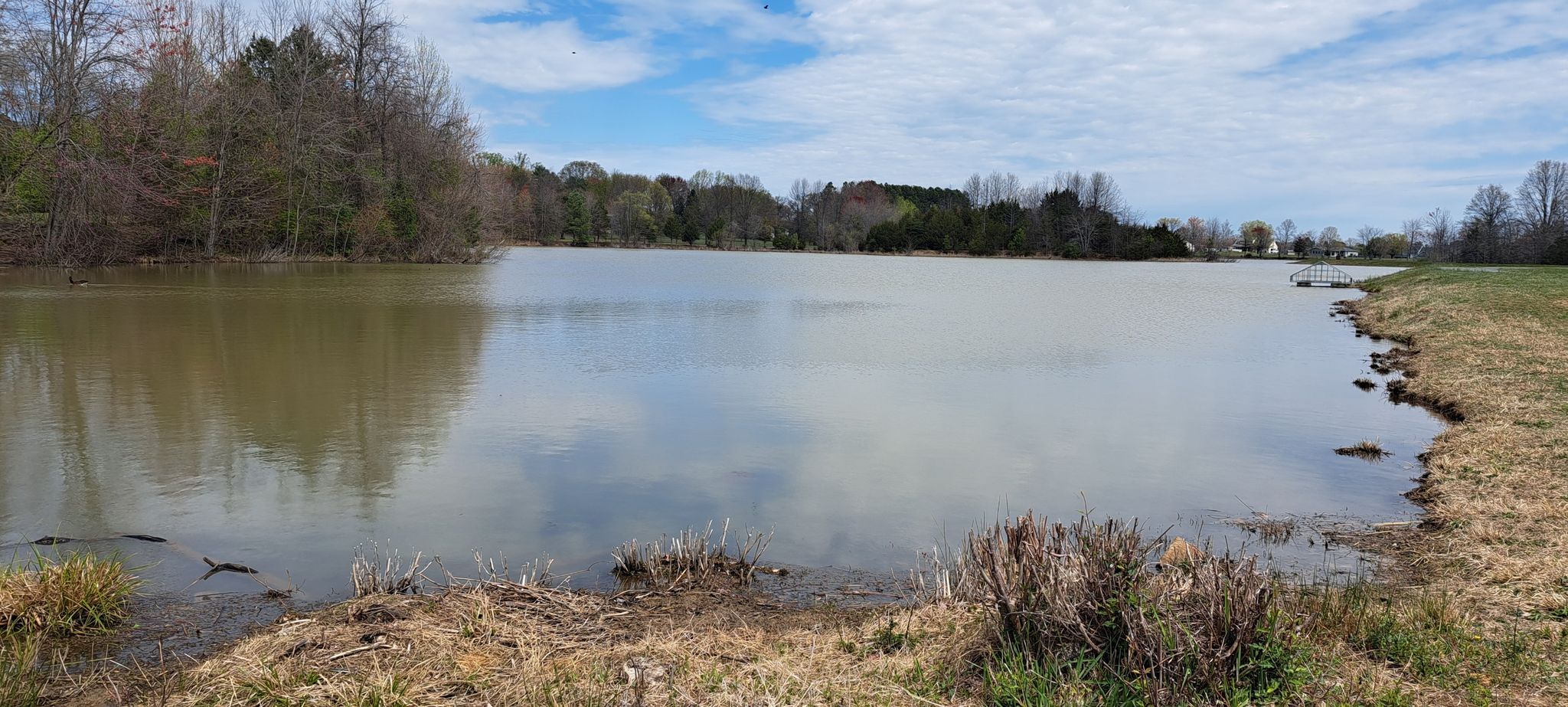 Wide lake reflecting cloudy sky, surrounded by trees and grassy banks. - Brookside lakes loop