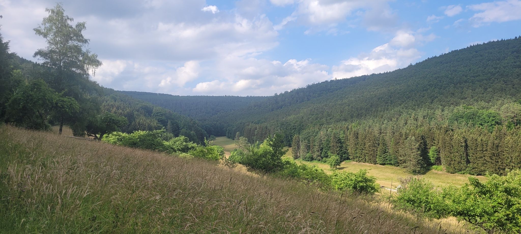 Meine Heimat