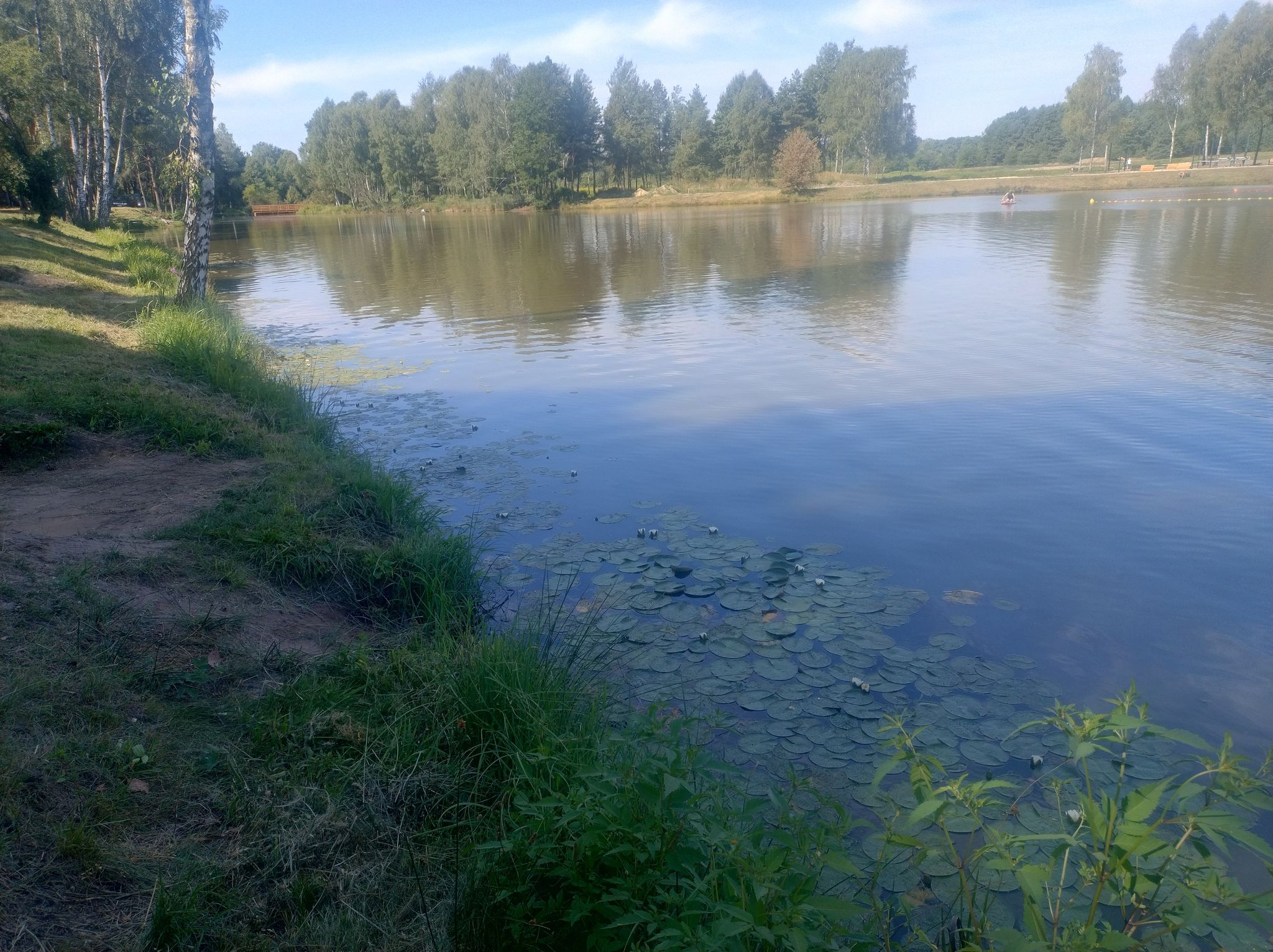 Pająk