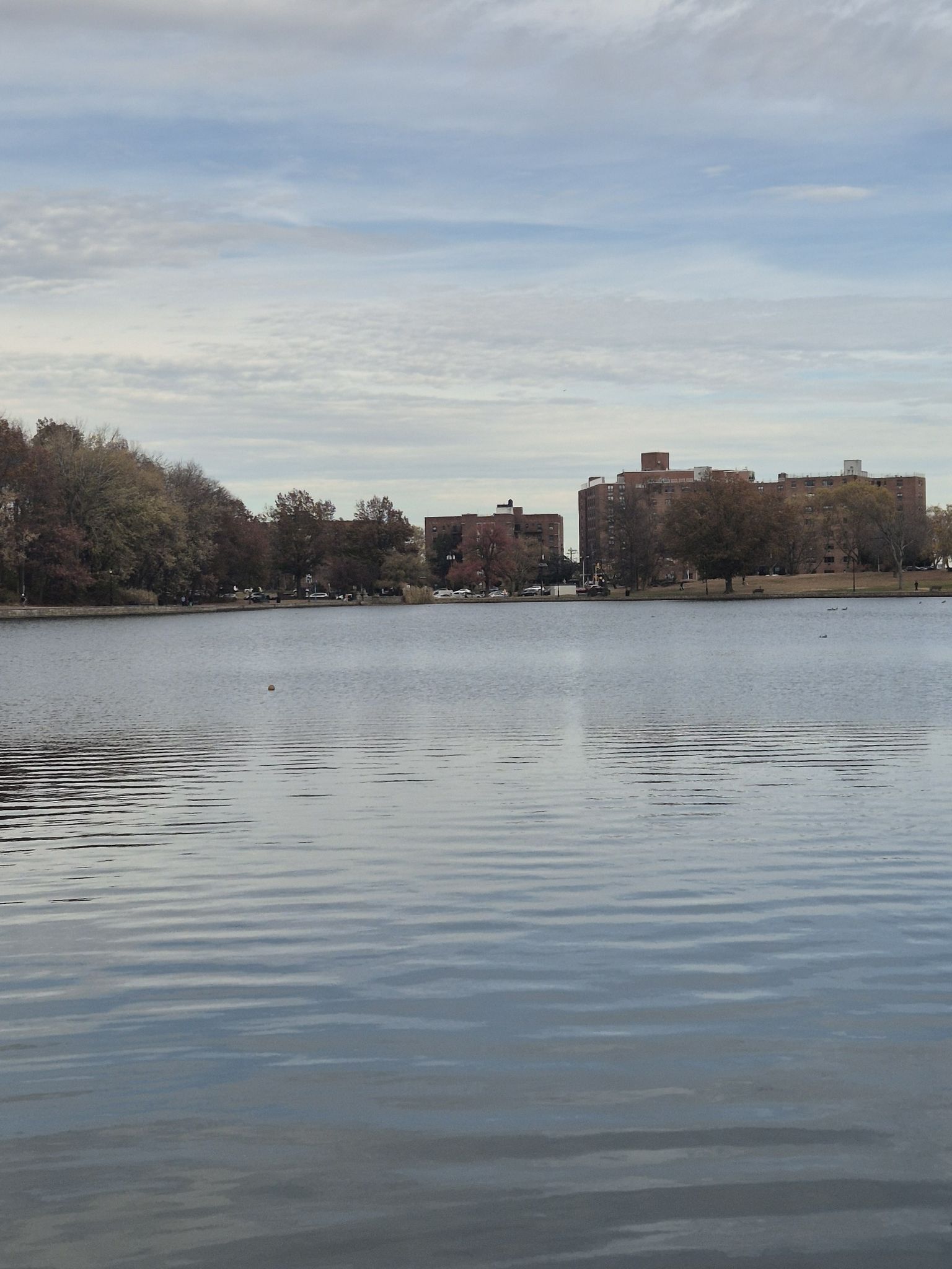 Wide lake with buildings and trees on the far shore under cloudy sky. - James J. Braddock Park loop — North Bergen, New Jersey