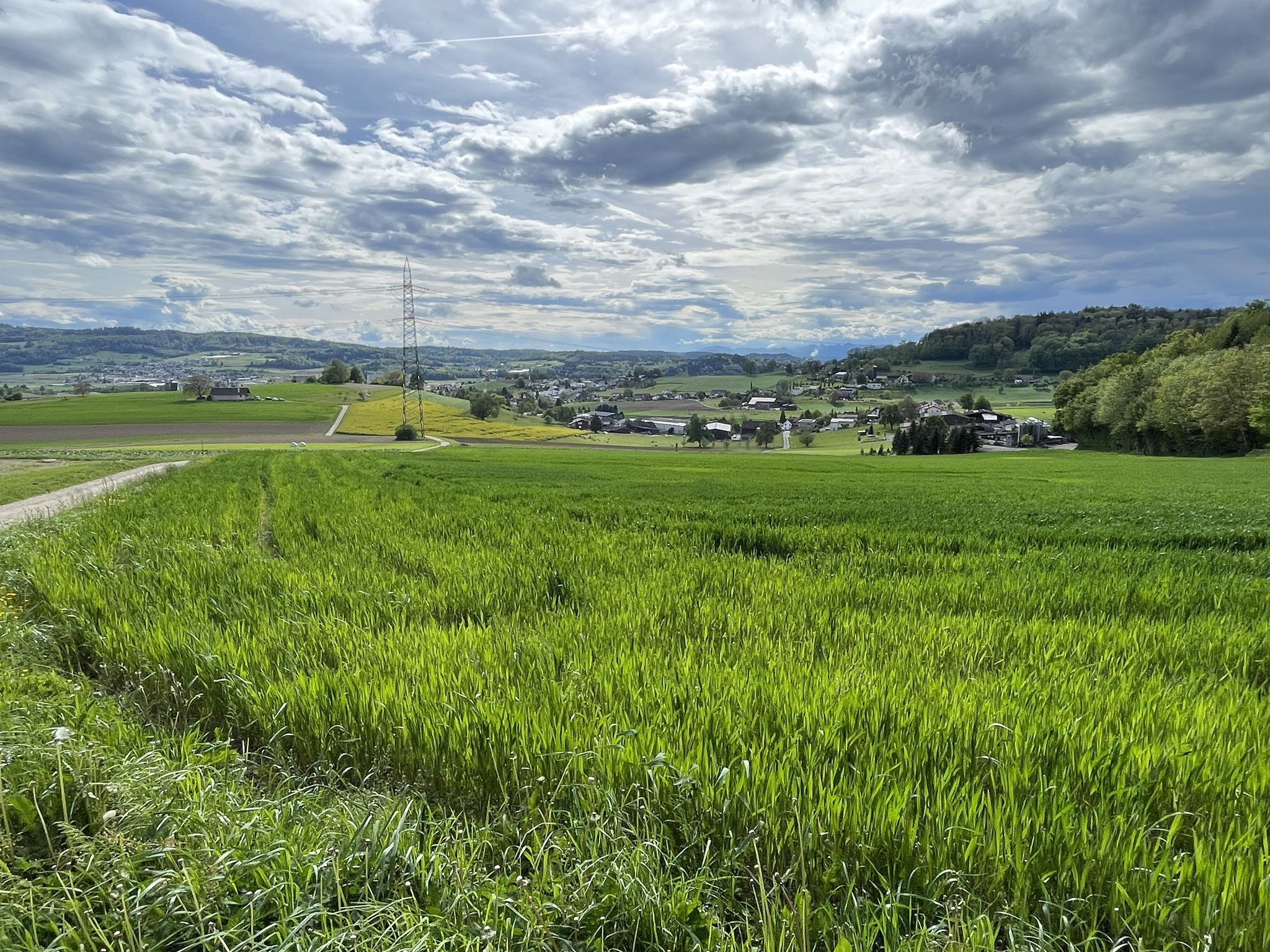 Blick zurück nach Hägglingen