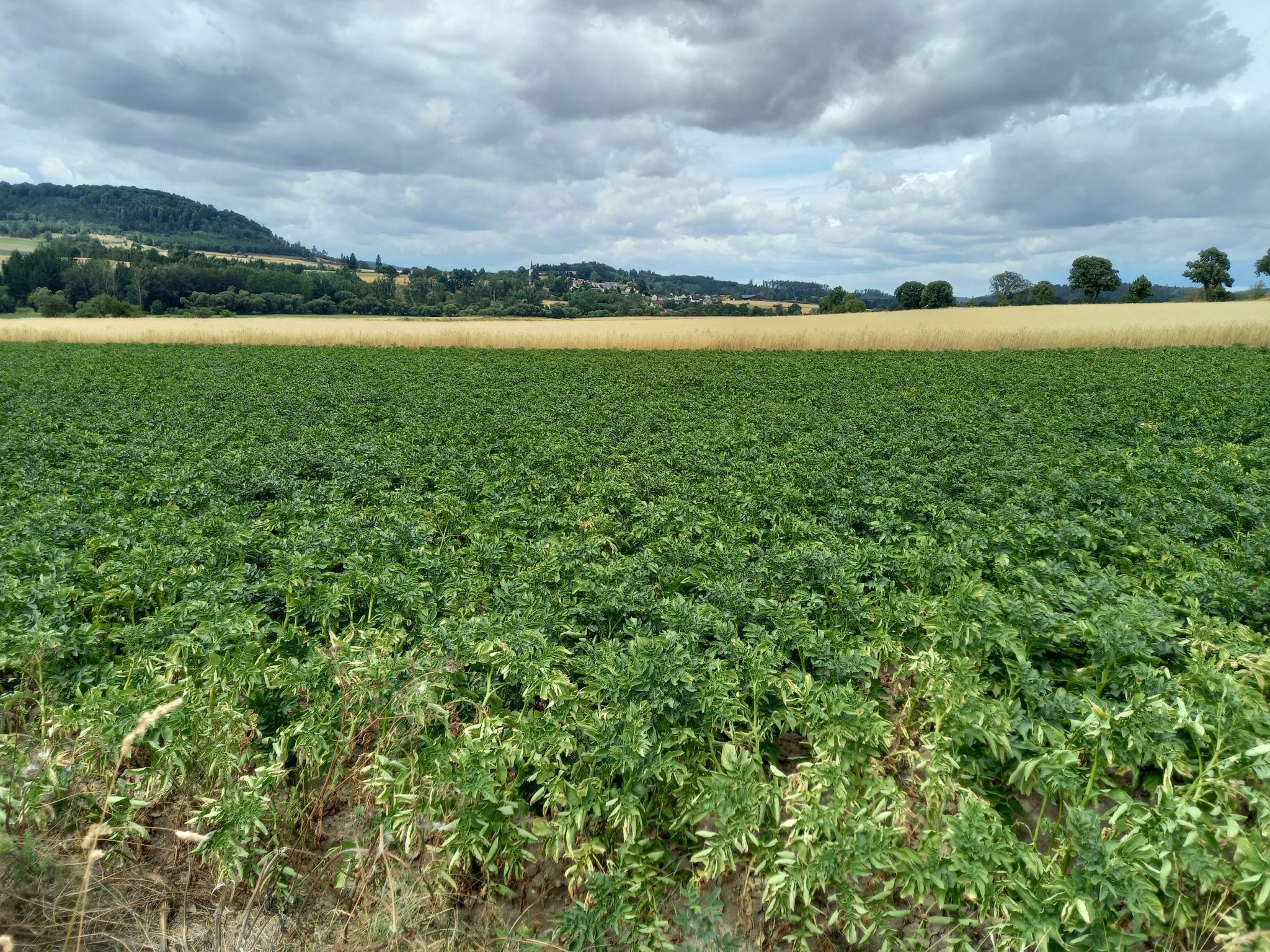 Blick Richtung Speisendorf
