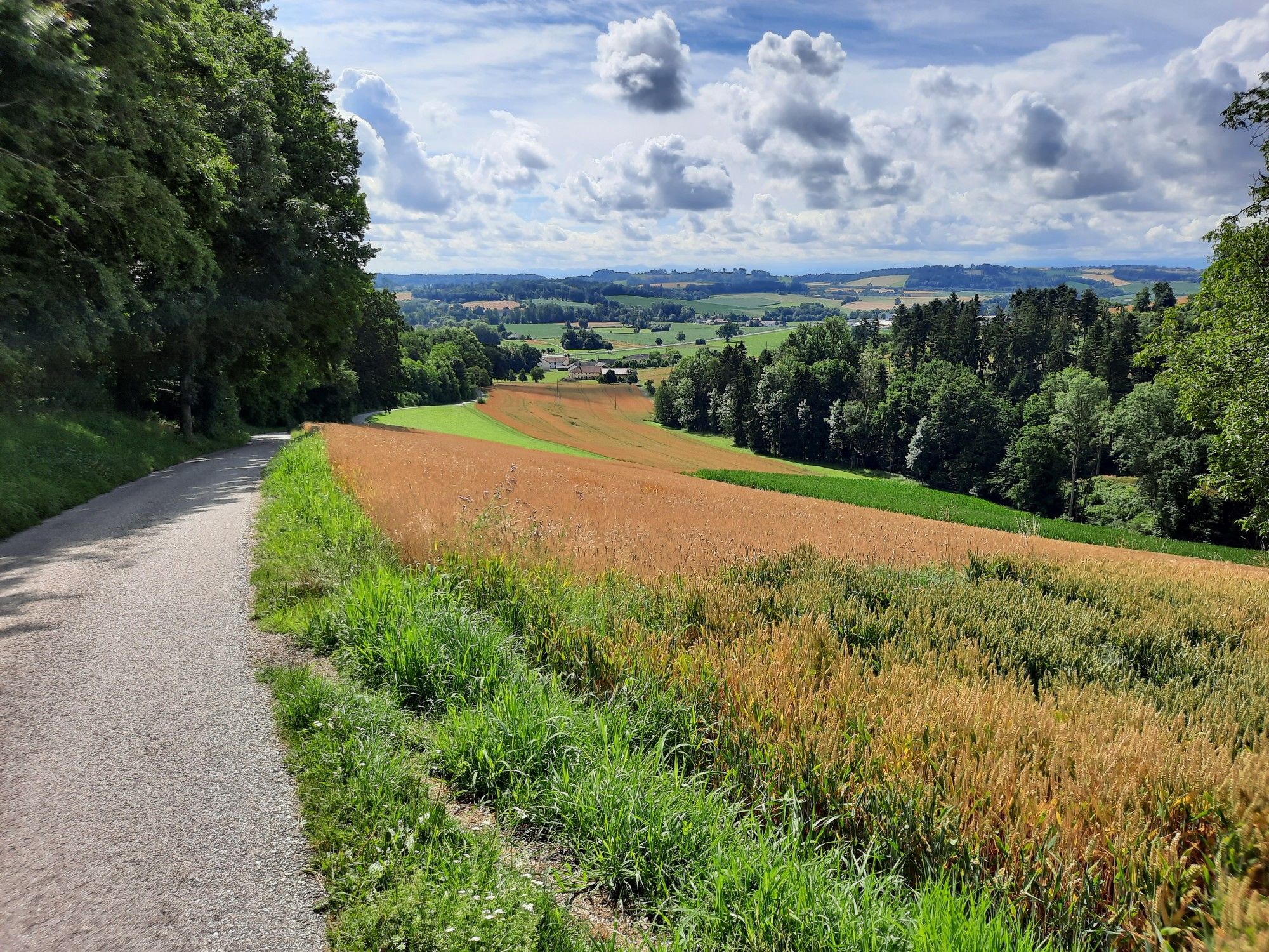 Anstieg,....und den Autolärm hintermir gelassen 