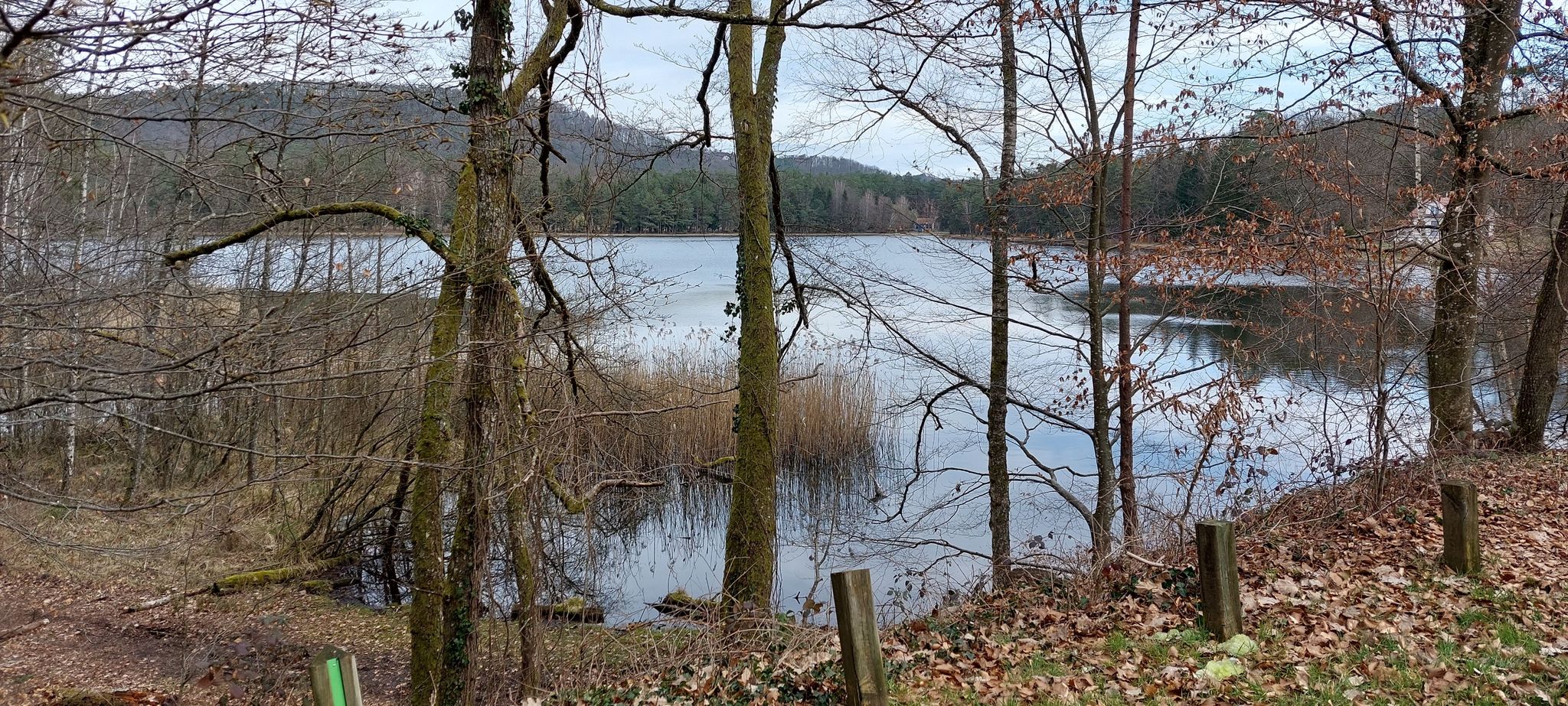 Étang de Hanau