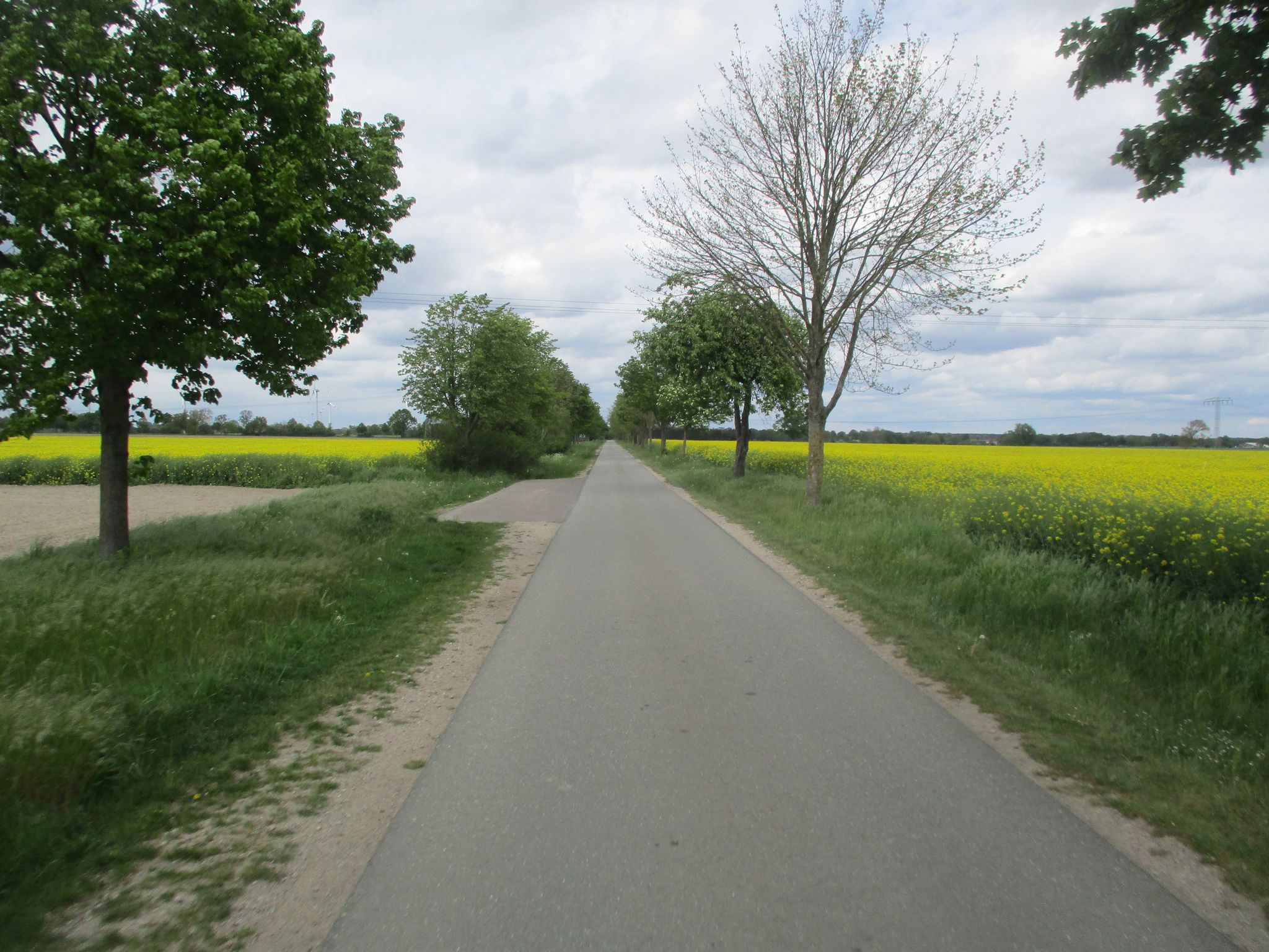 Sükow-Quitzow