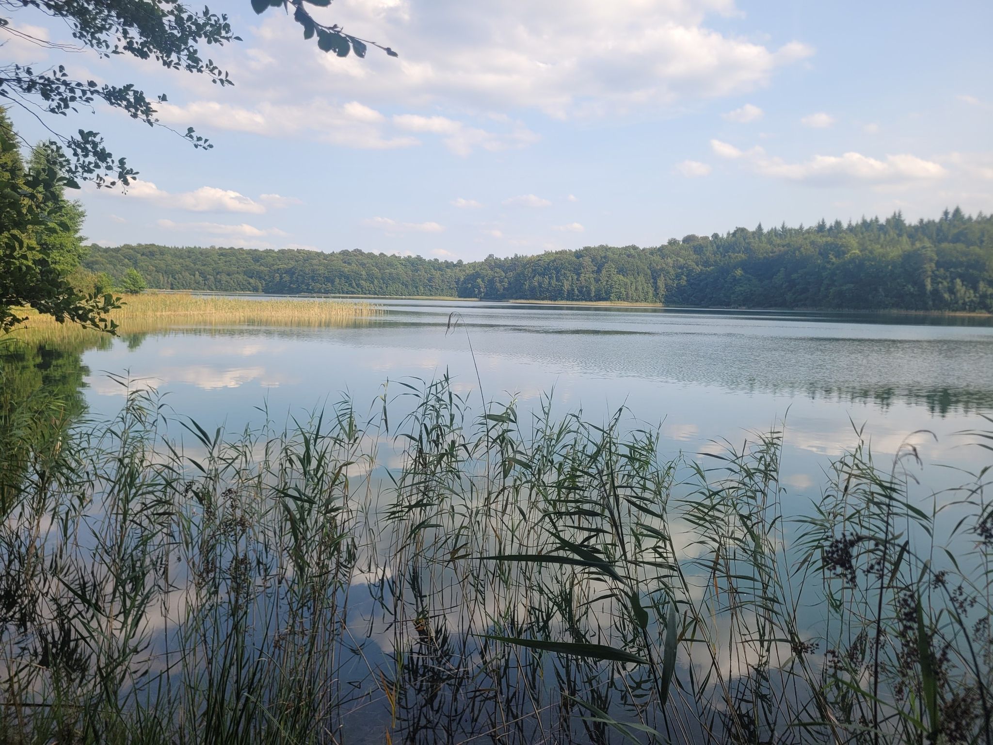 der glasklare Peetschsee bei Steinförde