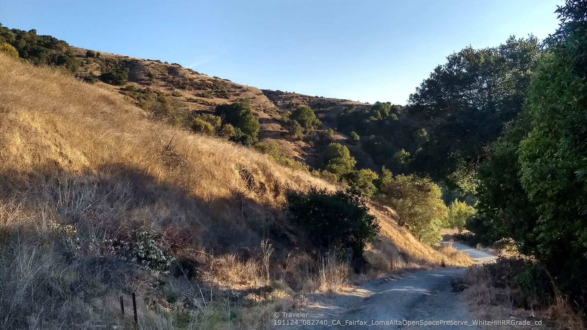 A dirt road winds through sunlit golden hills and green trees with long shadows. - Loma Alta Peak Trail