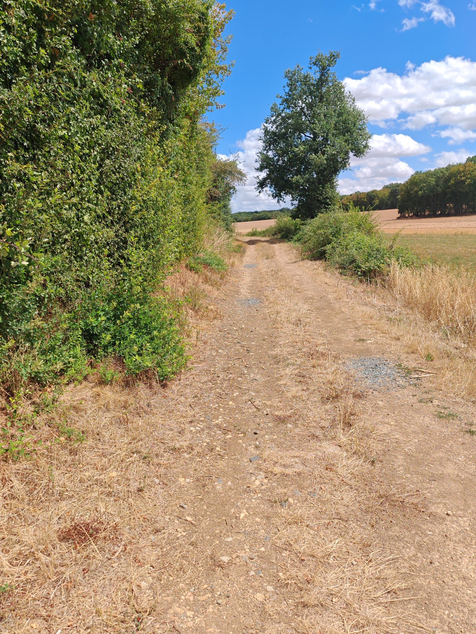 Chemin 