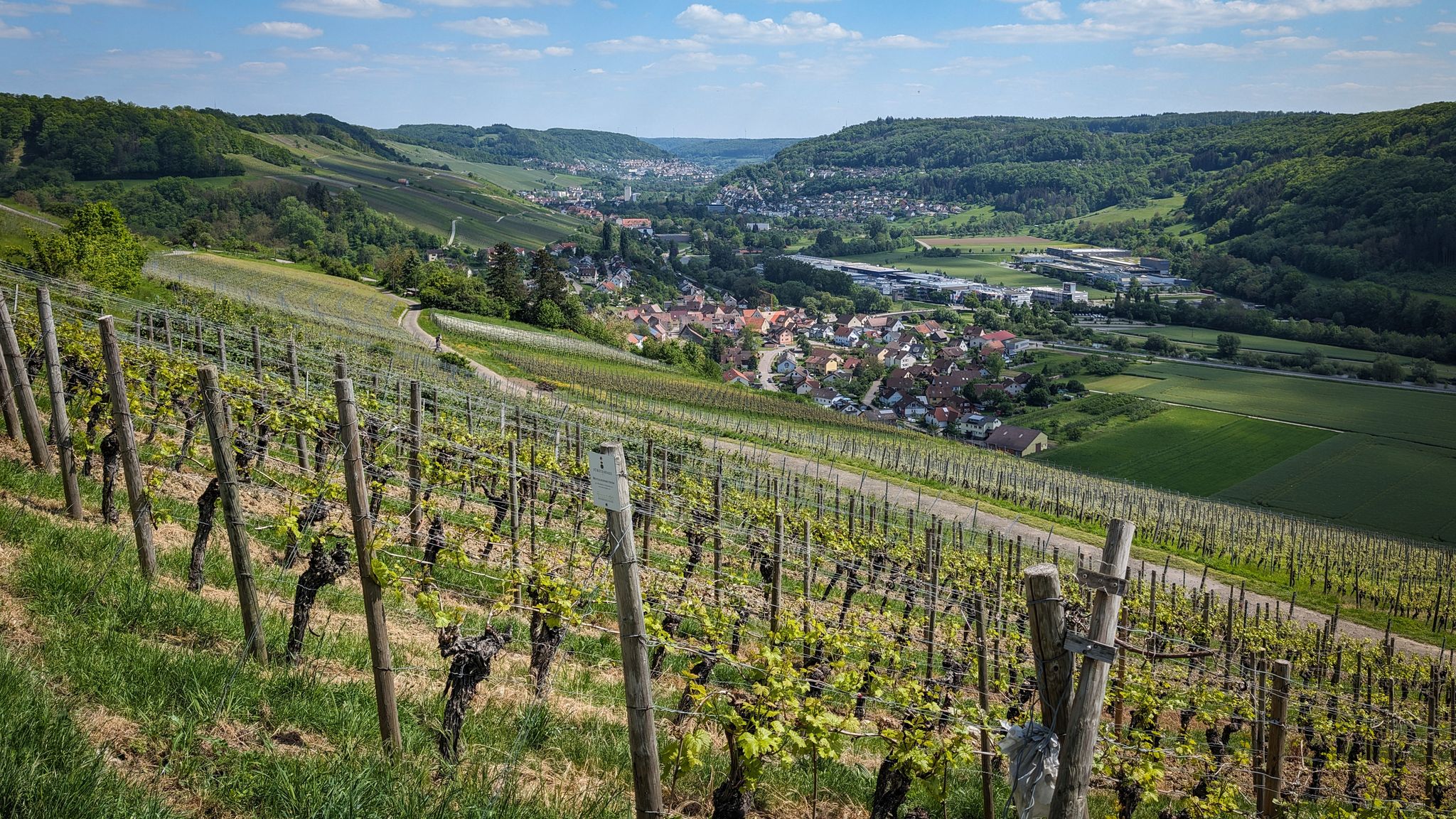 Criesbacher Sattel - Blick ins Kochertal