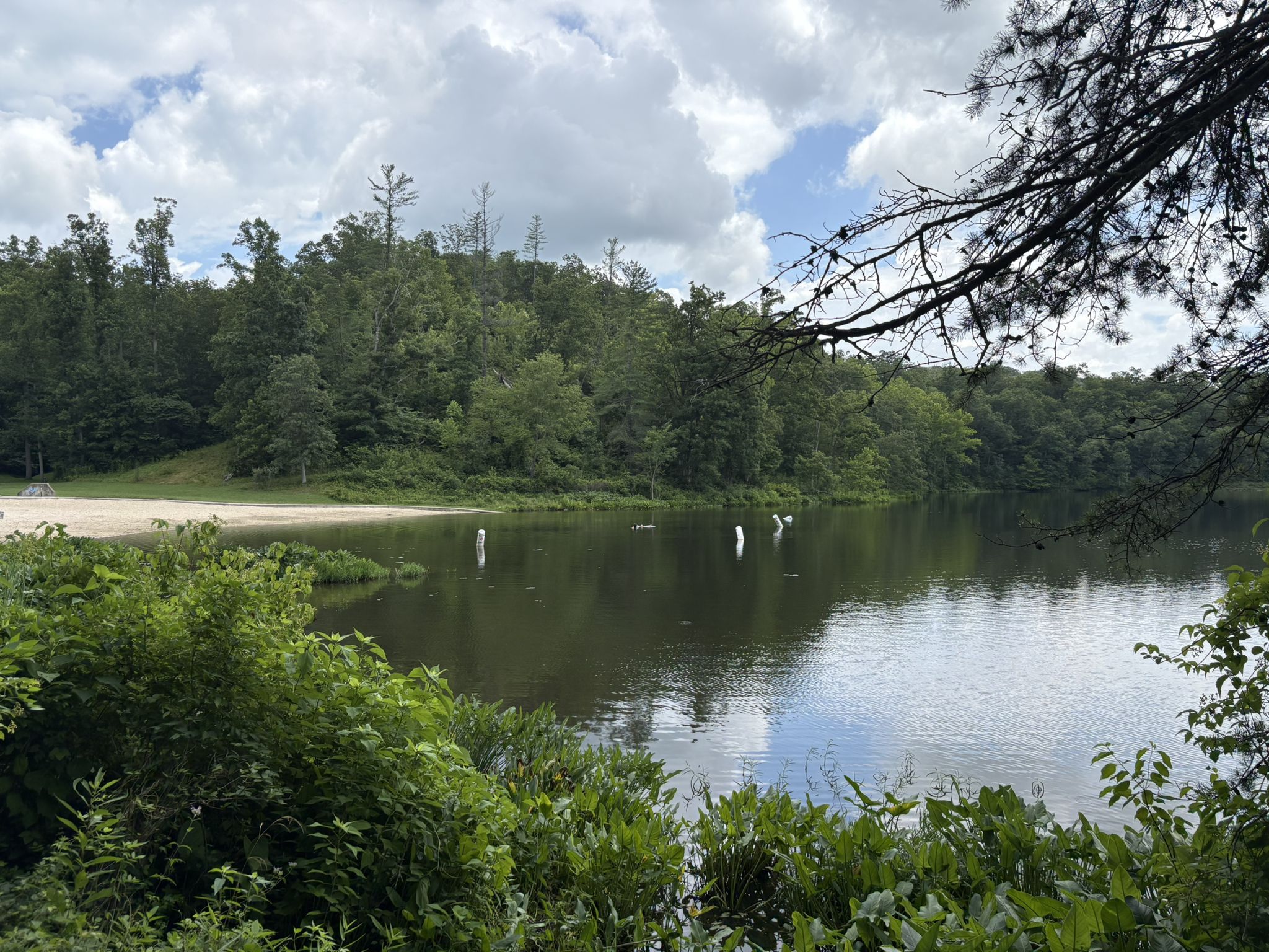 Calm lake with forested shores, a sandy beach, and cloudy skies. - Lake Shore Trail