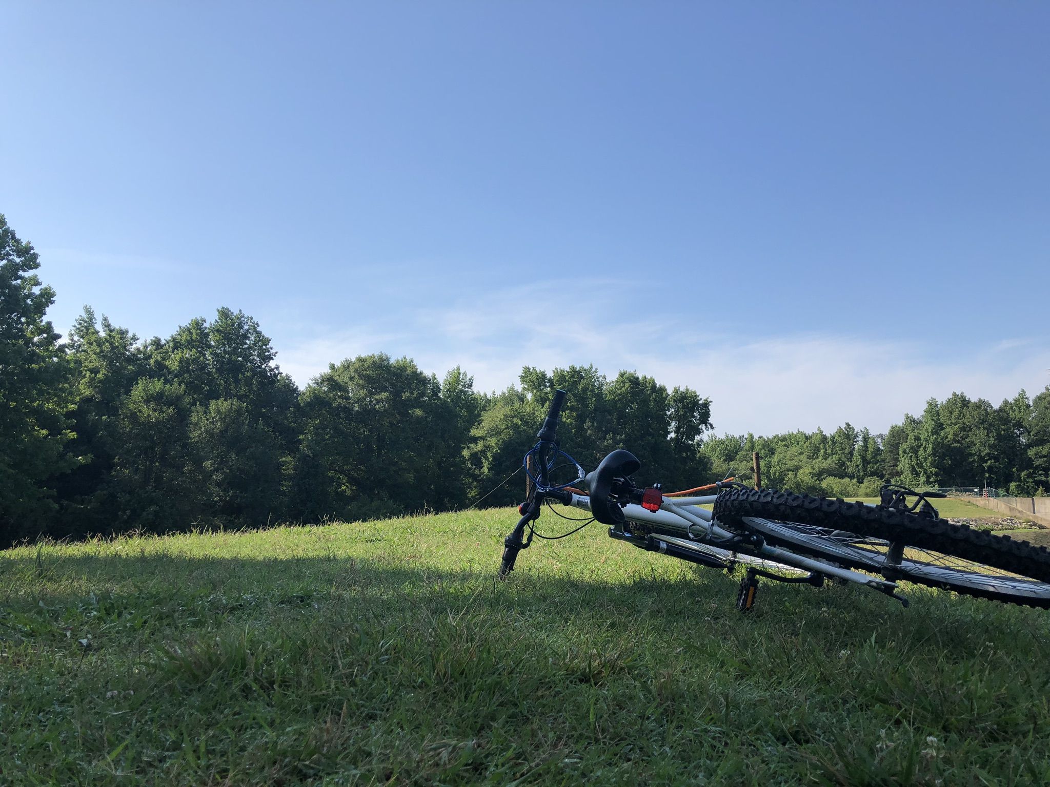 Bicycle lying on green grass under a clear blue sky. - Walnut Creek Trail