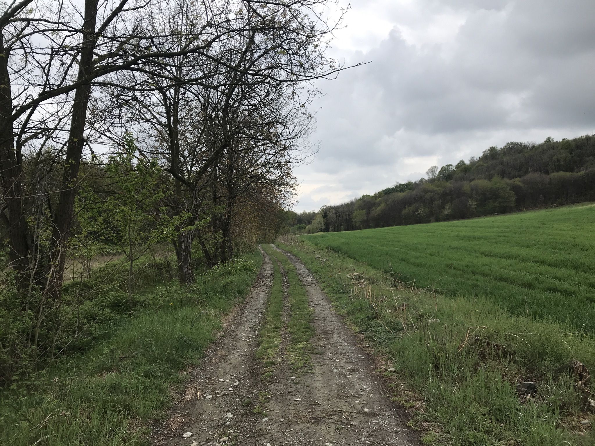 Nach viel Asphalt heute, no chli Weg...:-)