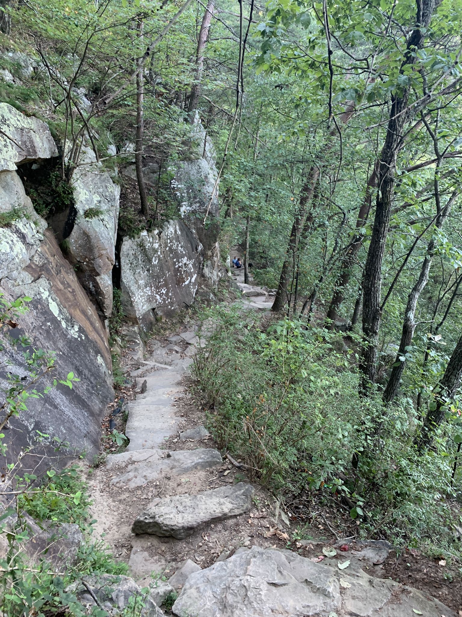 Rocky trail winding alongside a large rock face in a green forest. - Upper Truck and Bluff Trail Loop