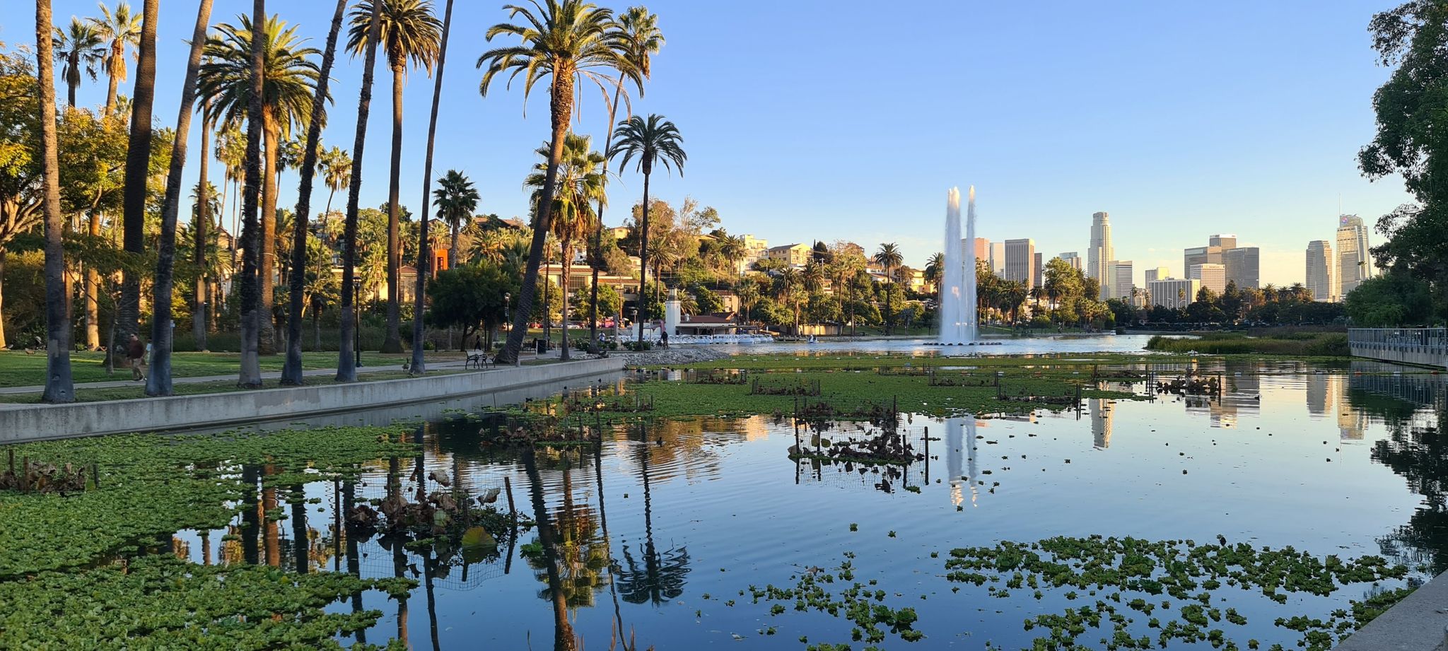 Panoramic view of a lake with fountain, palm trees, and distant city skyline. - Echo Park Lake Loop