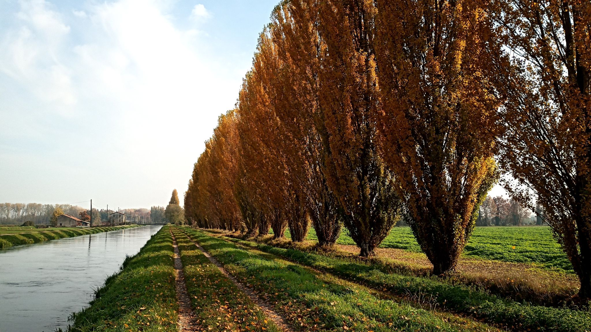 Colori  autunnali sul canale Vacchelli