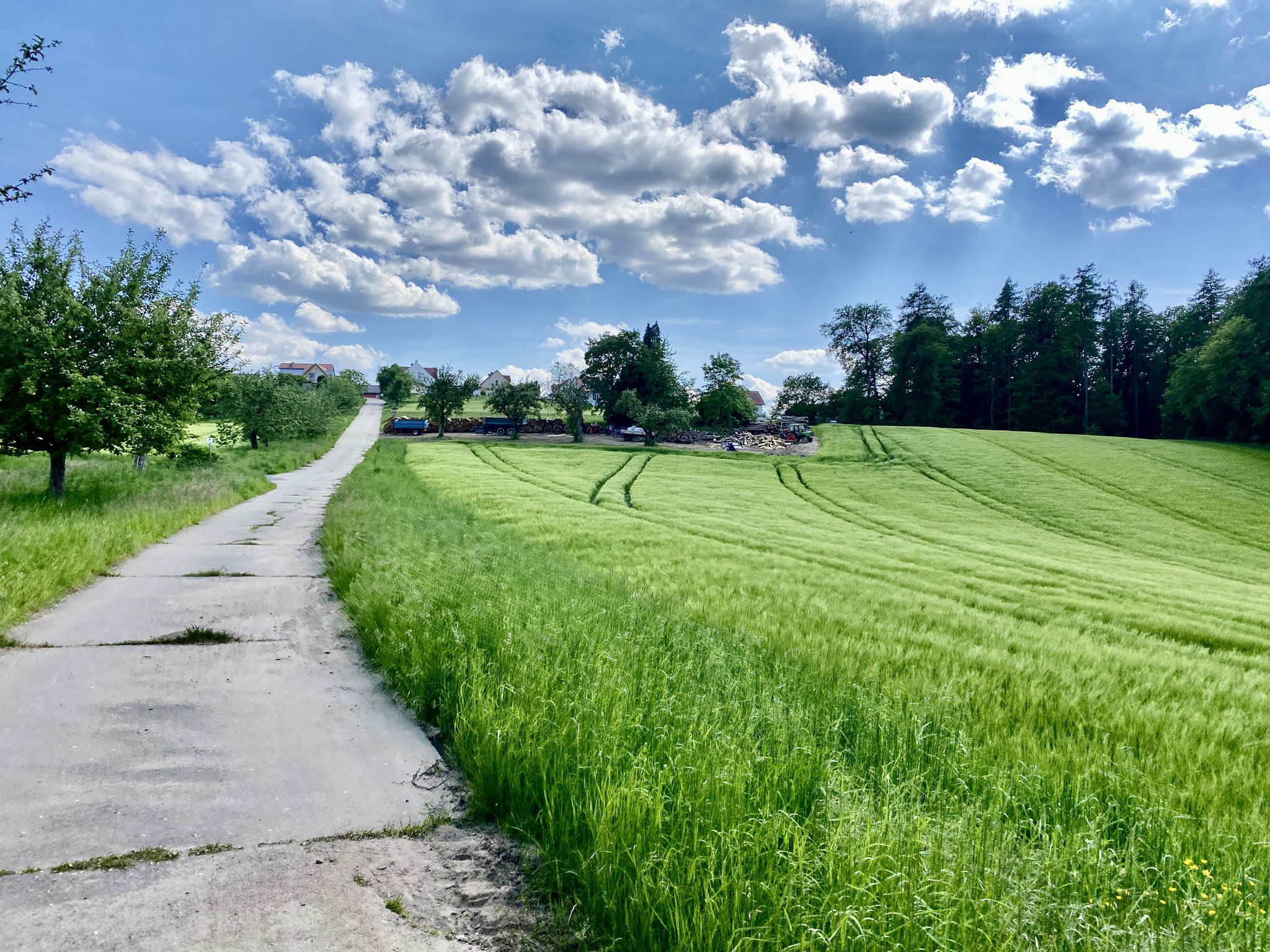 Die ersten Häuser am Ortsrand in Sicht