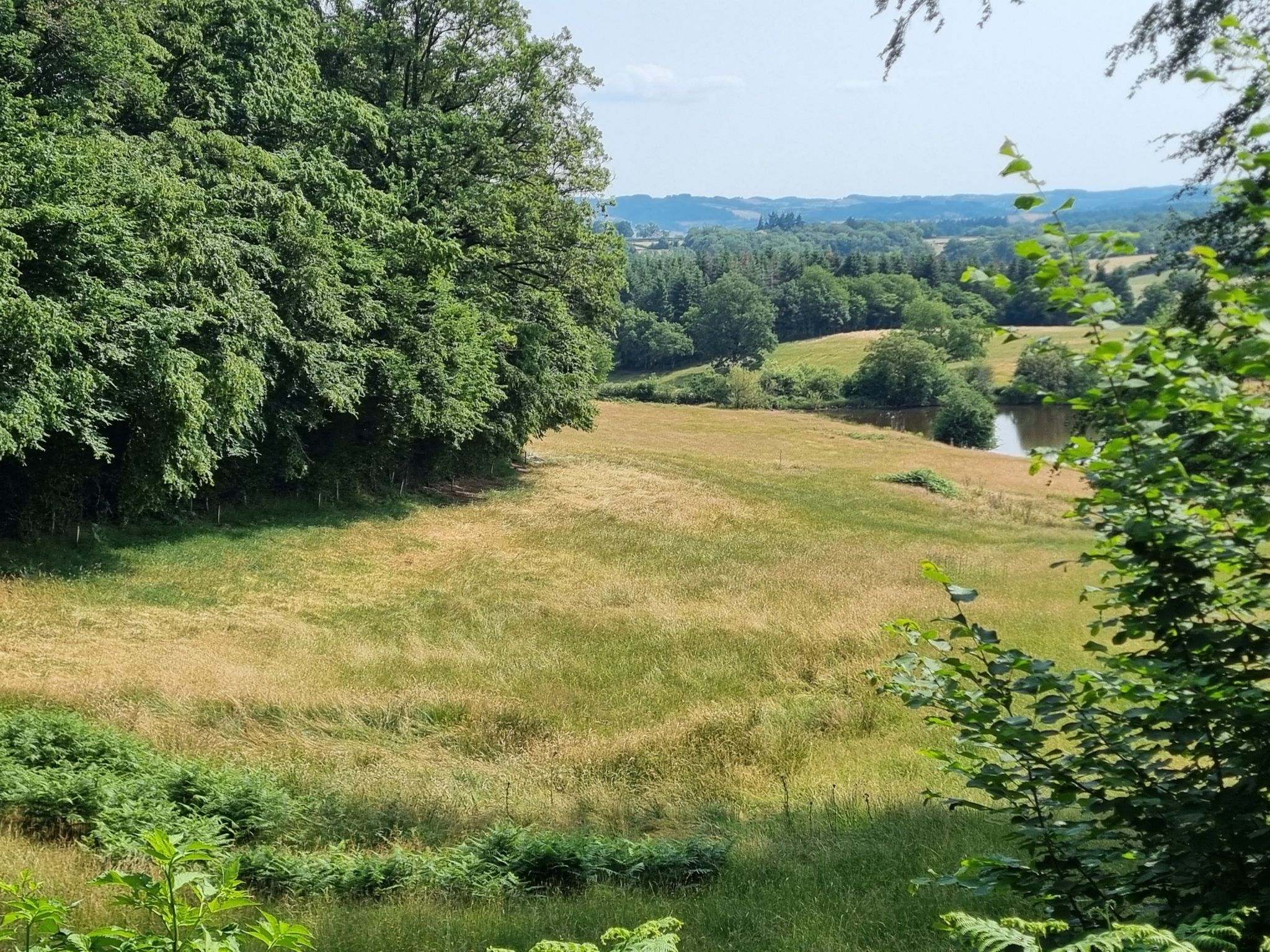 Mooie route door de natuur en velden