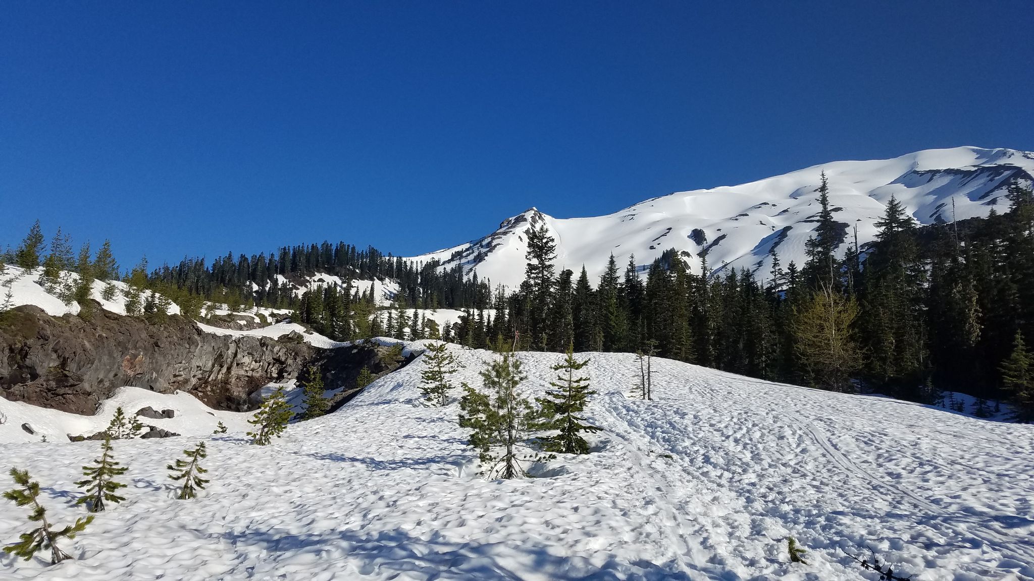 Snowy mountain landscape with evergreen trees under a clear blue sky. - Worm Flows Climbing Route