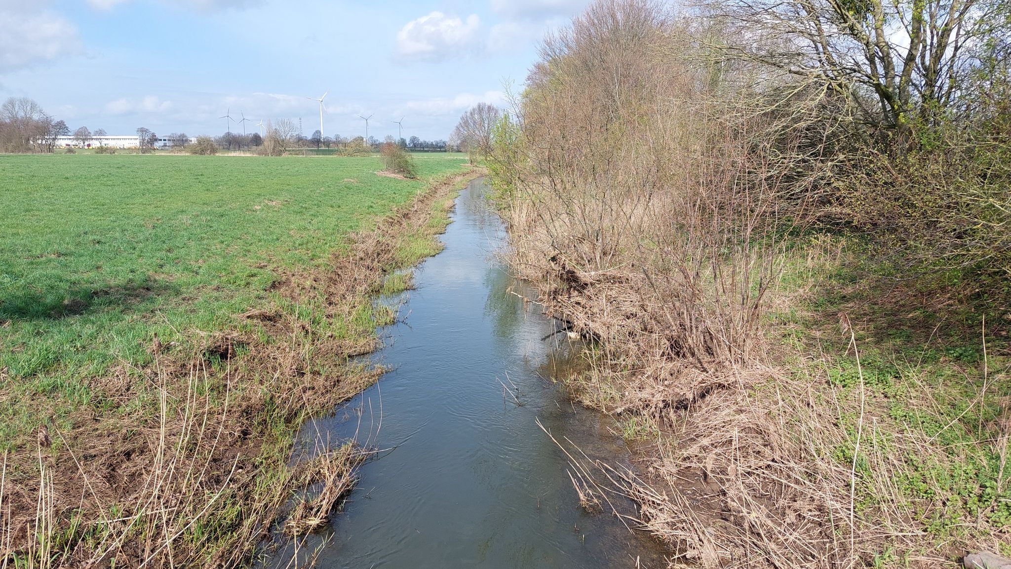 Hochwasser-Anzeige im Busch
