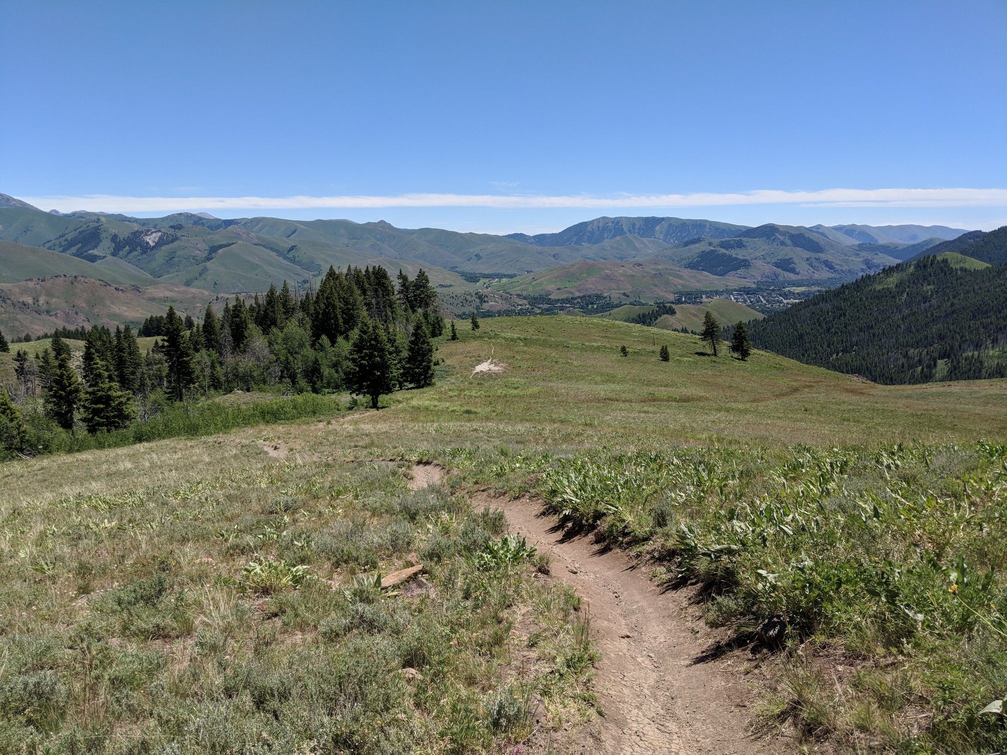 A dirt trail winds through sunny, grassy hills with distant mountains. - Adams Gulch and Griffin Butte Loop