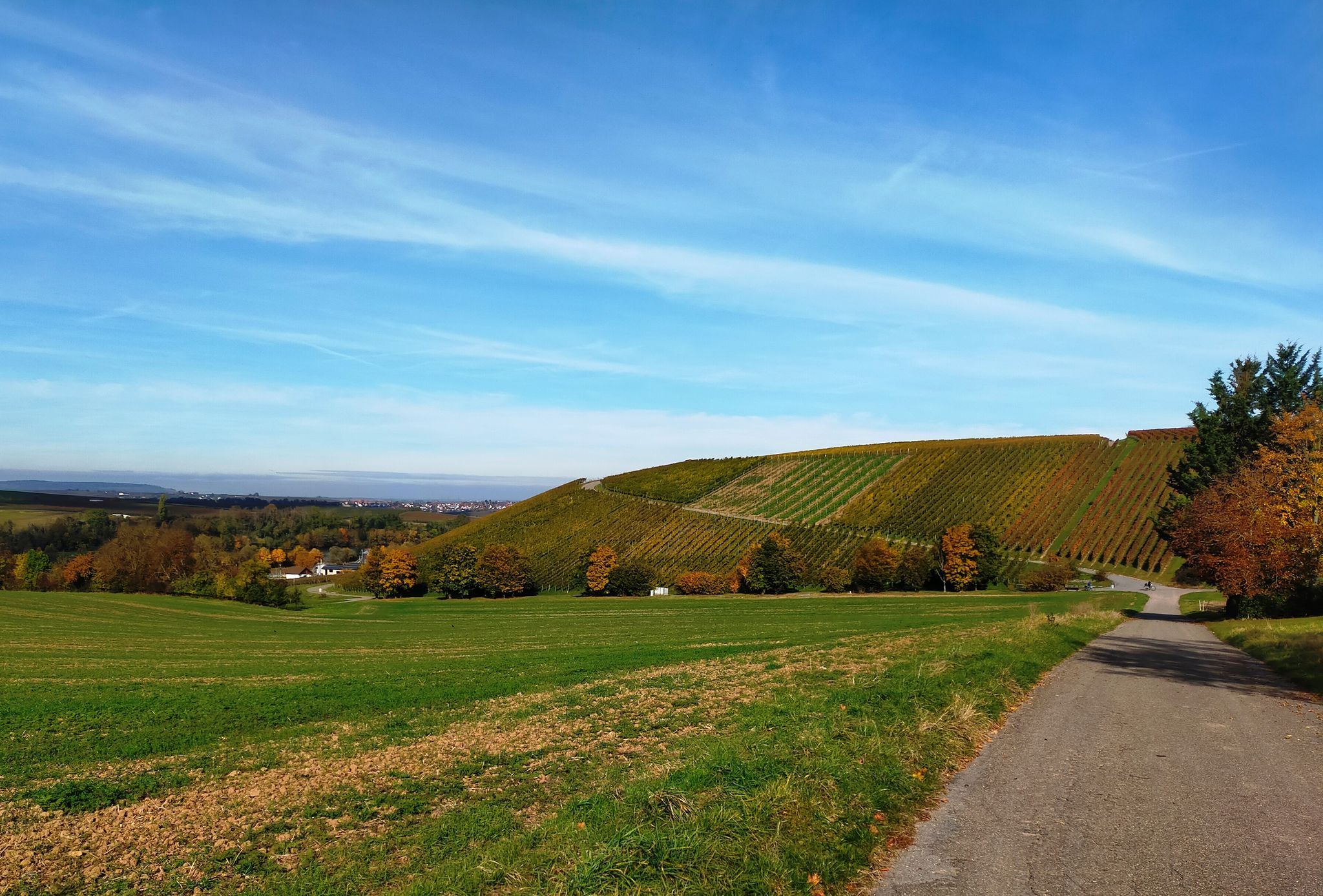 Blick nach Lauffen