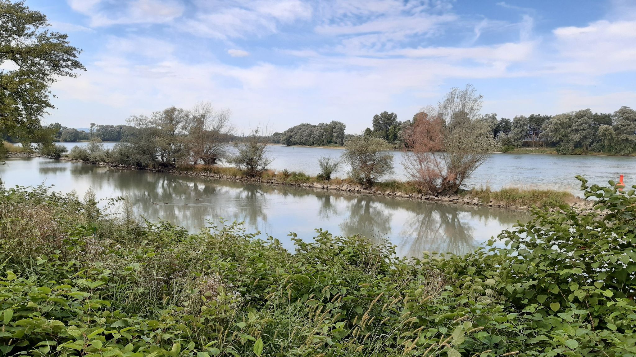 Die schöneren Seiten der Donau 👍