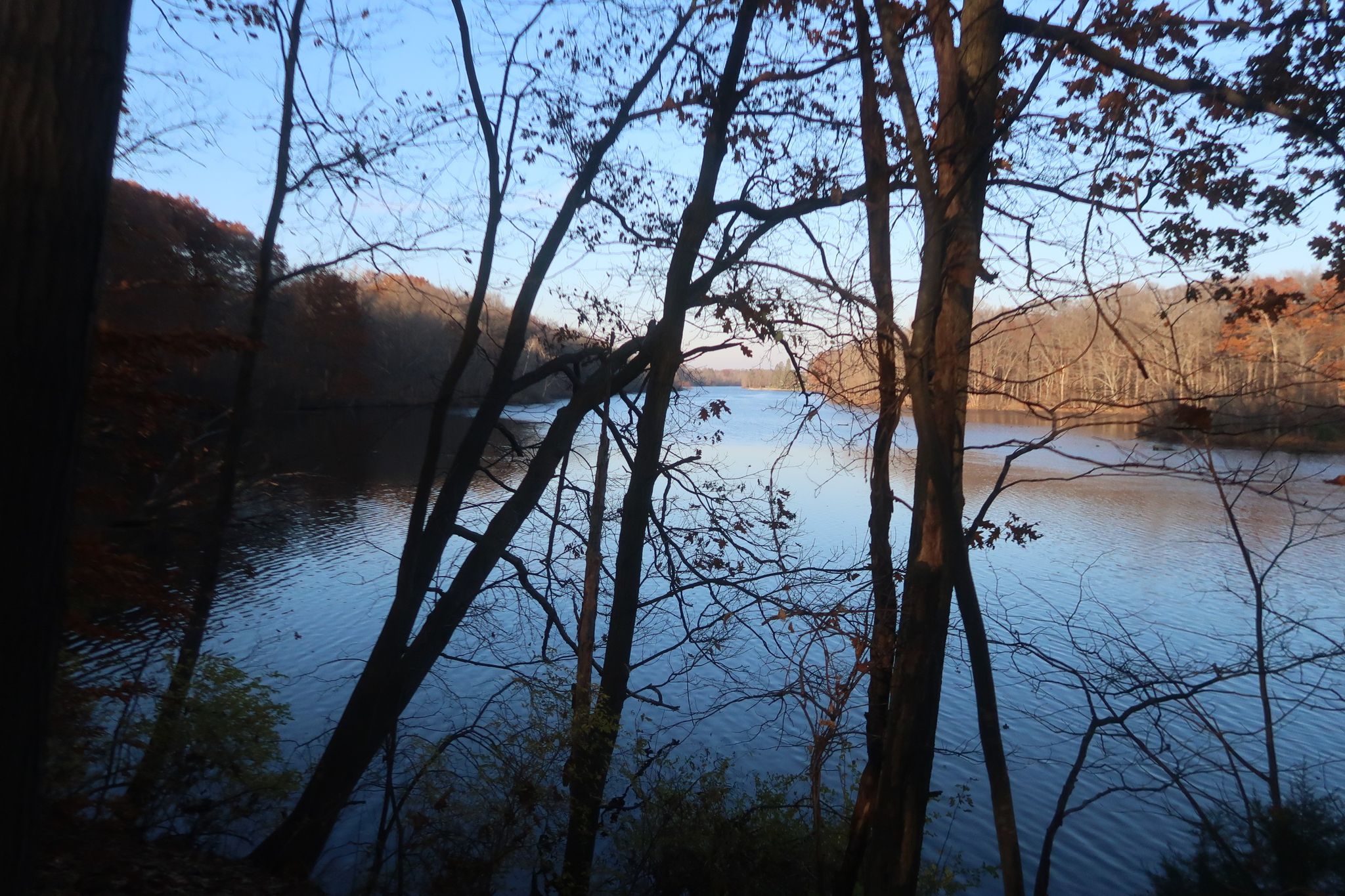 Blue lake framed by bare trees and distant forested hills under clear sky. - Anderson Park Trail