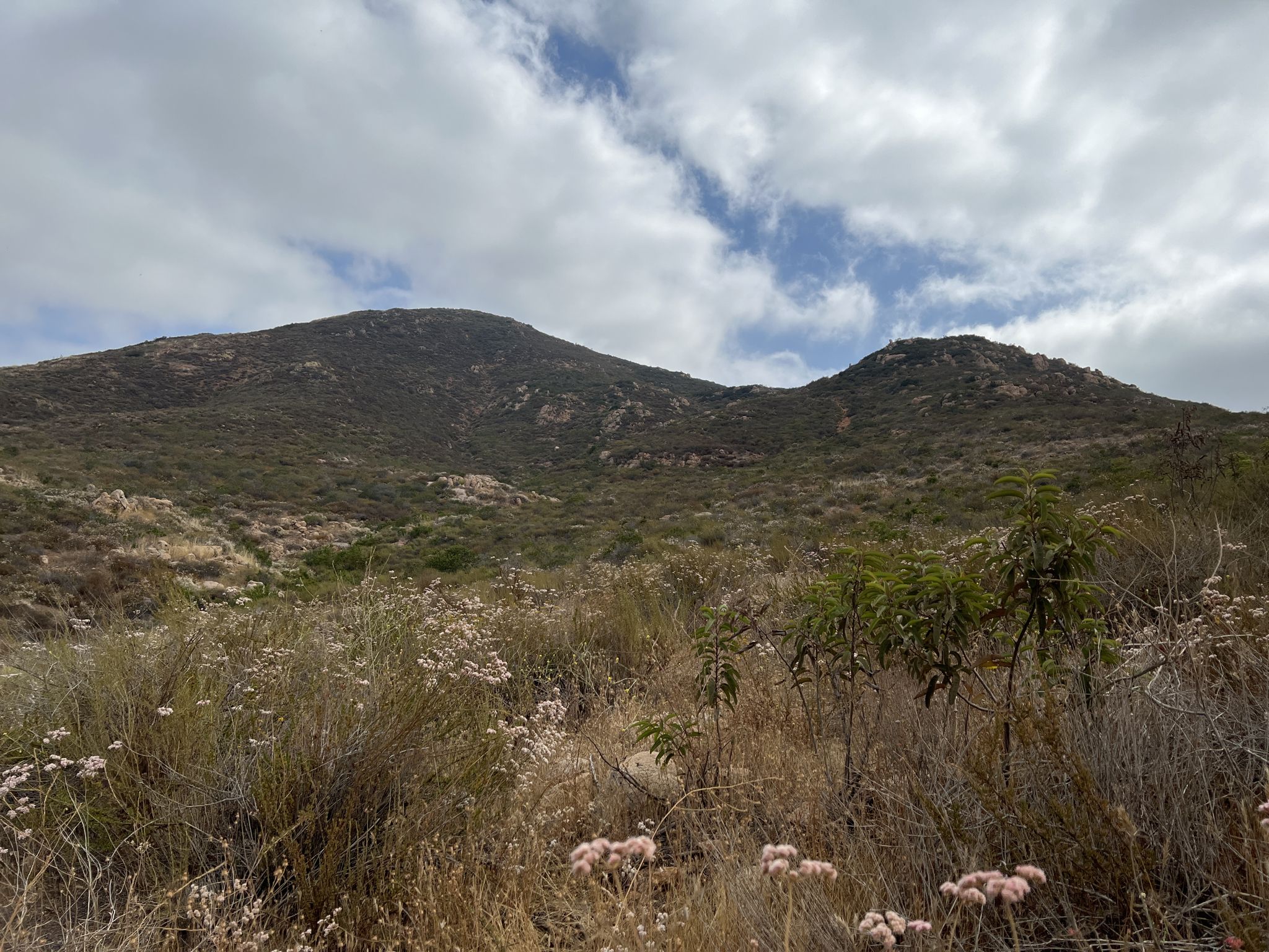 Dry, brushy foreground with a large, green-brown mountain under a partly cloudy sky. - Running loop from San Carlos