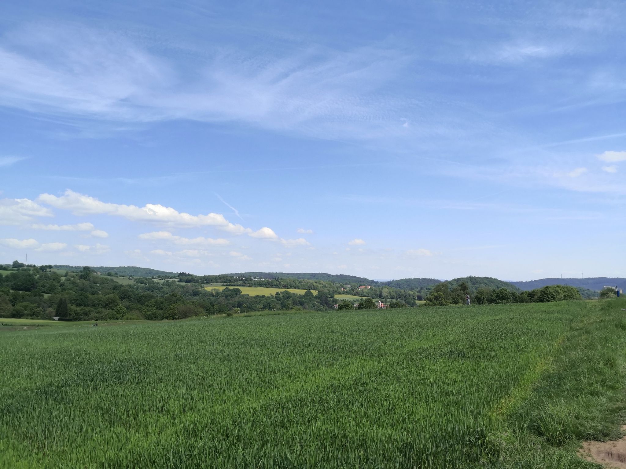 Blick vom Hasenkopf auf Marburg