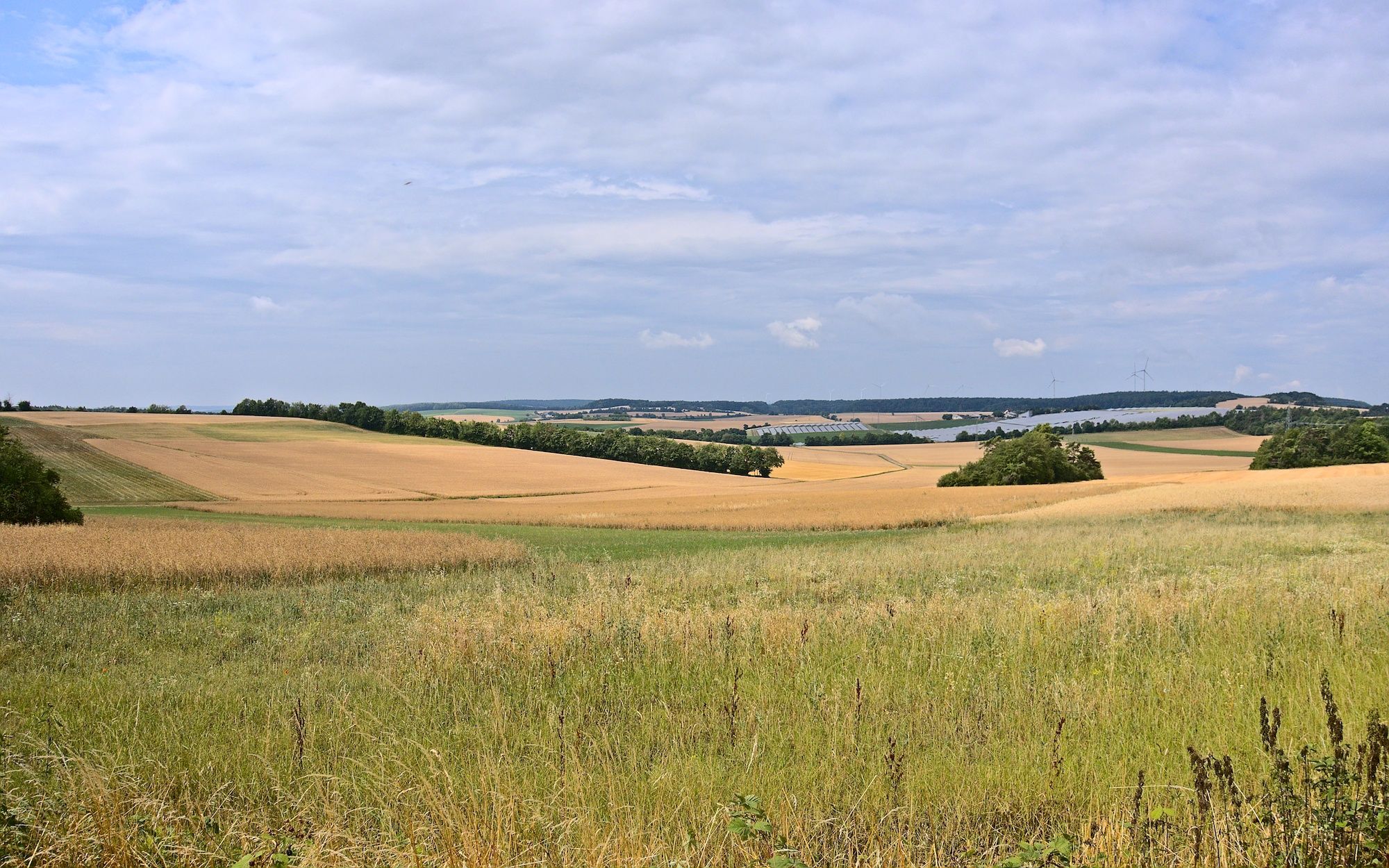Blick über die Ebene