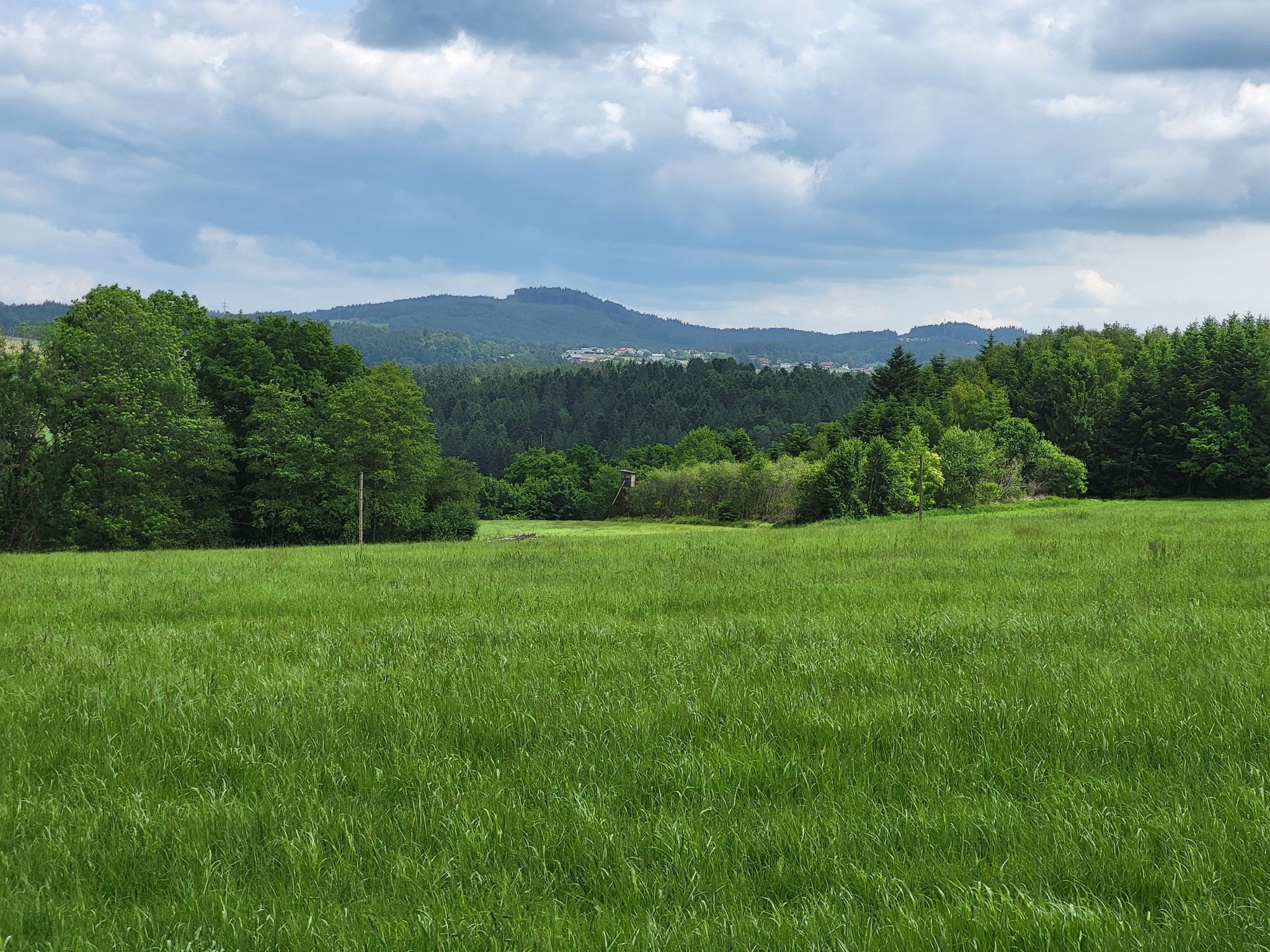 Weitblick zum Haugstein 895 m