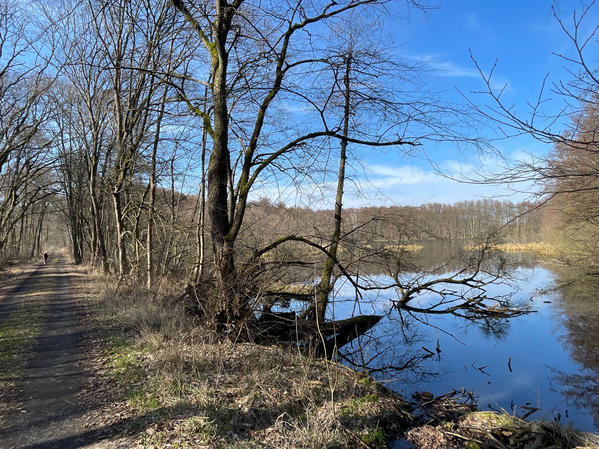 Der Alte Torfteich.