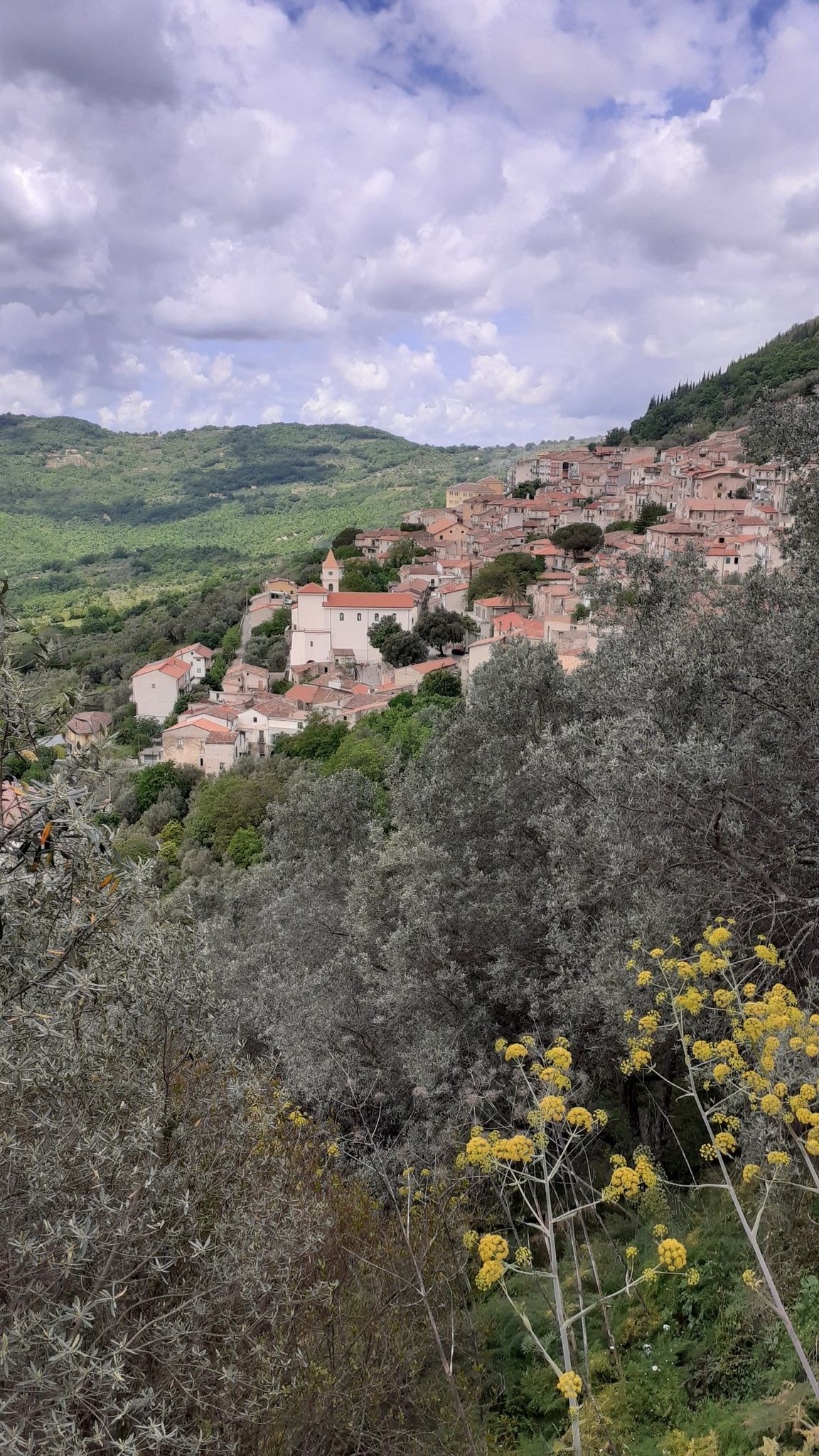 ottati