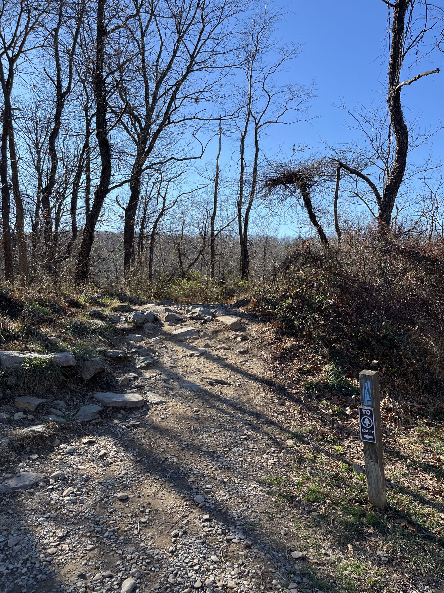 A sunny, rocky dirt trail winds through bare winter woods with a trail marker. - Washington Monument via Bartman Hill Trail to Appalachian Trail
