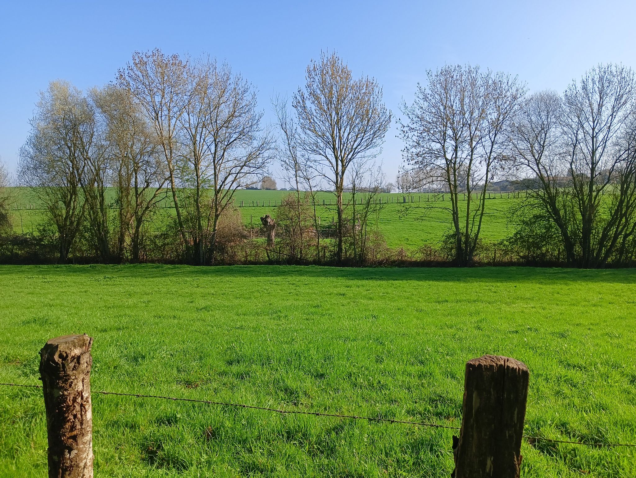 campagne marollaise 2